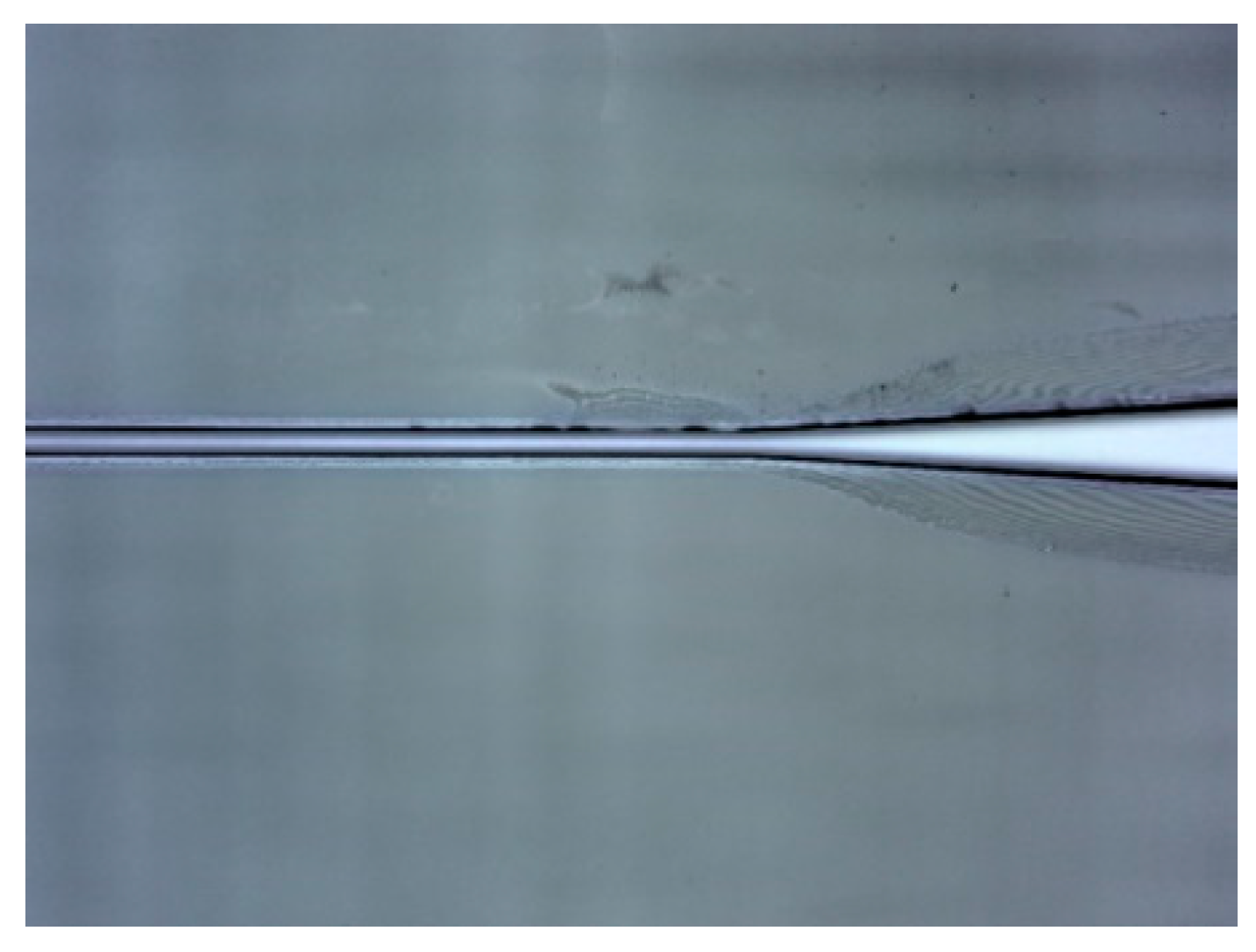 Sensors 19 03383 g010