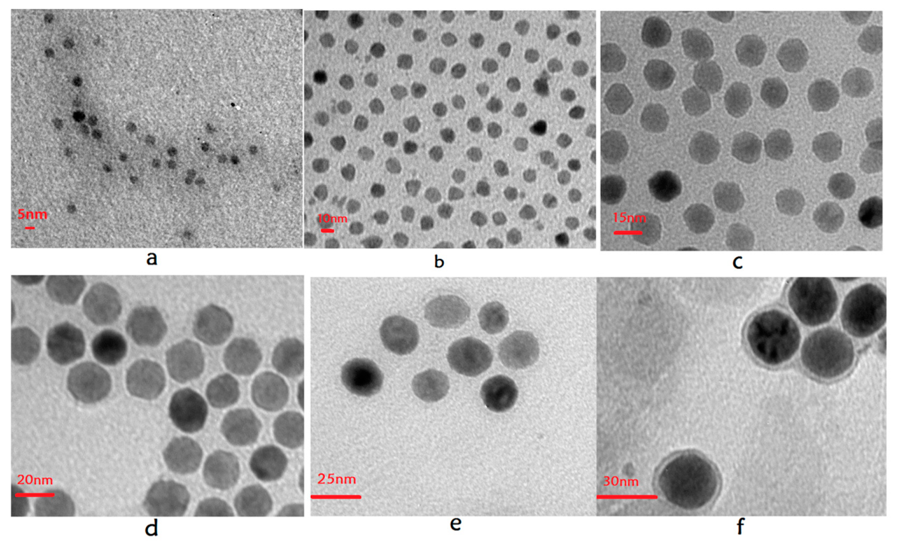 Characterization and Relaxation Properties of a Series of