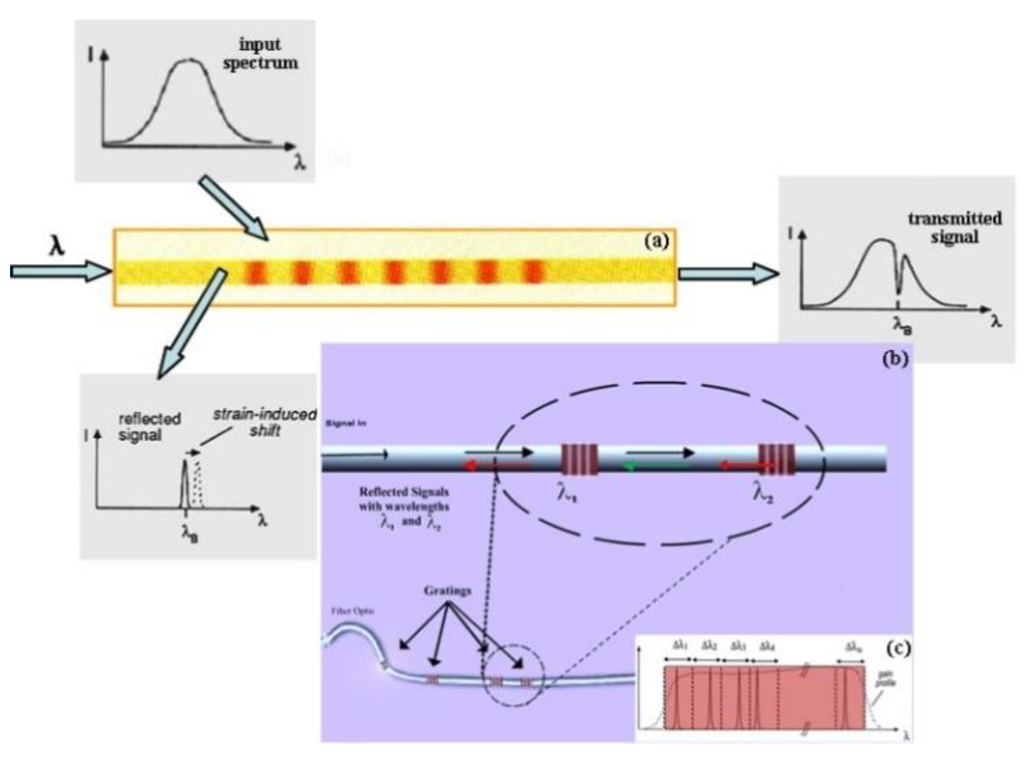Sensors 19 03419 g001