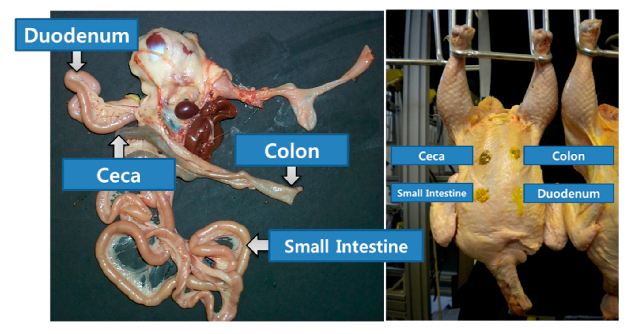 Sensors 19 03483 g001 Sensors 19 03483 g001