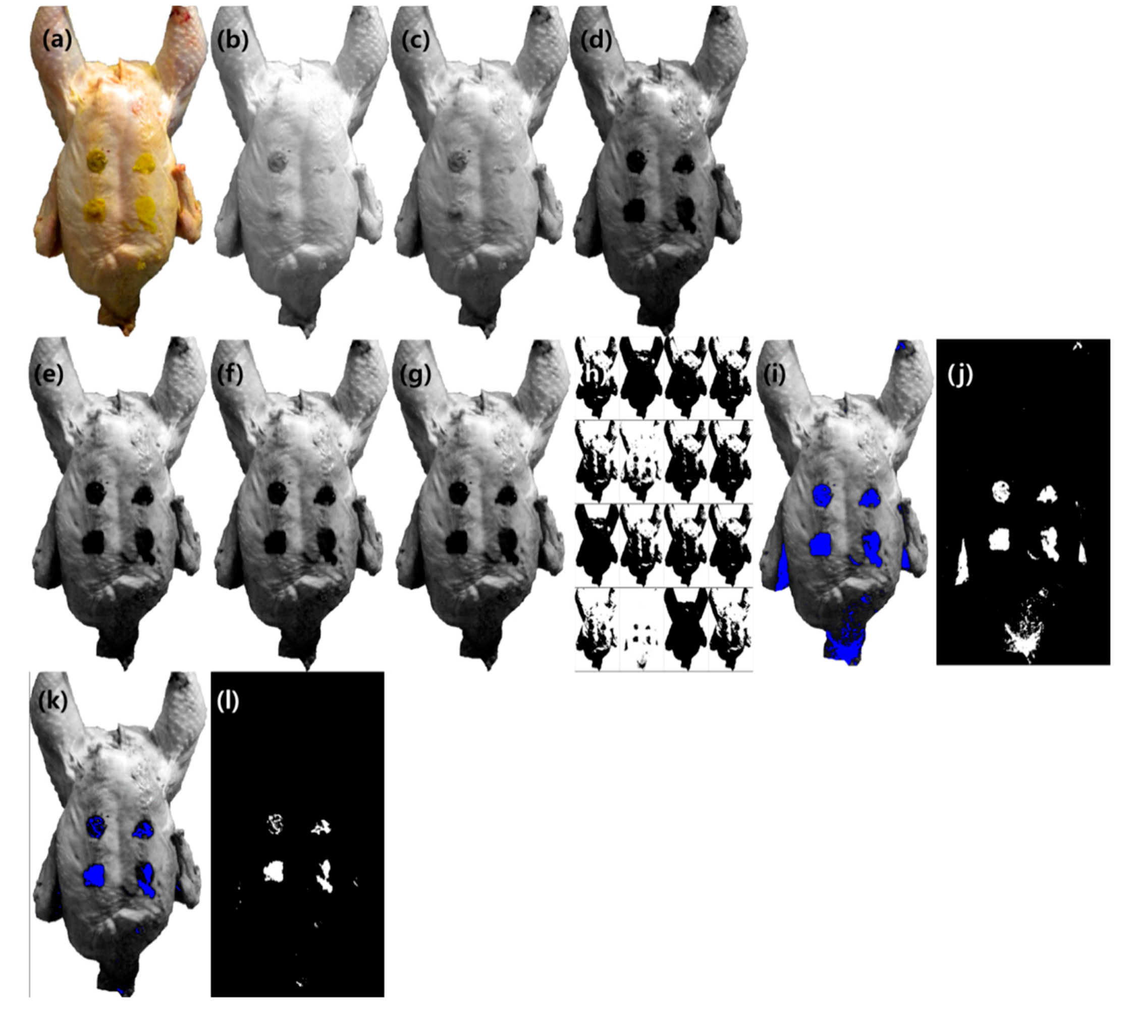 Sensors 19 03483 g006 Sensors 19 03483 g006