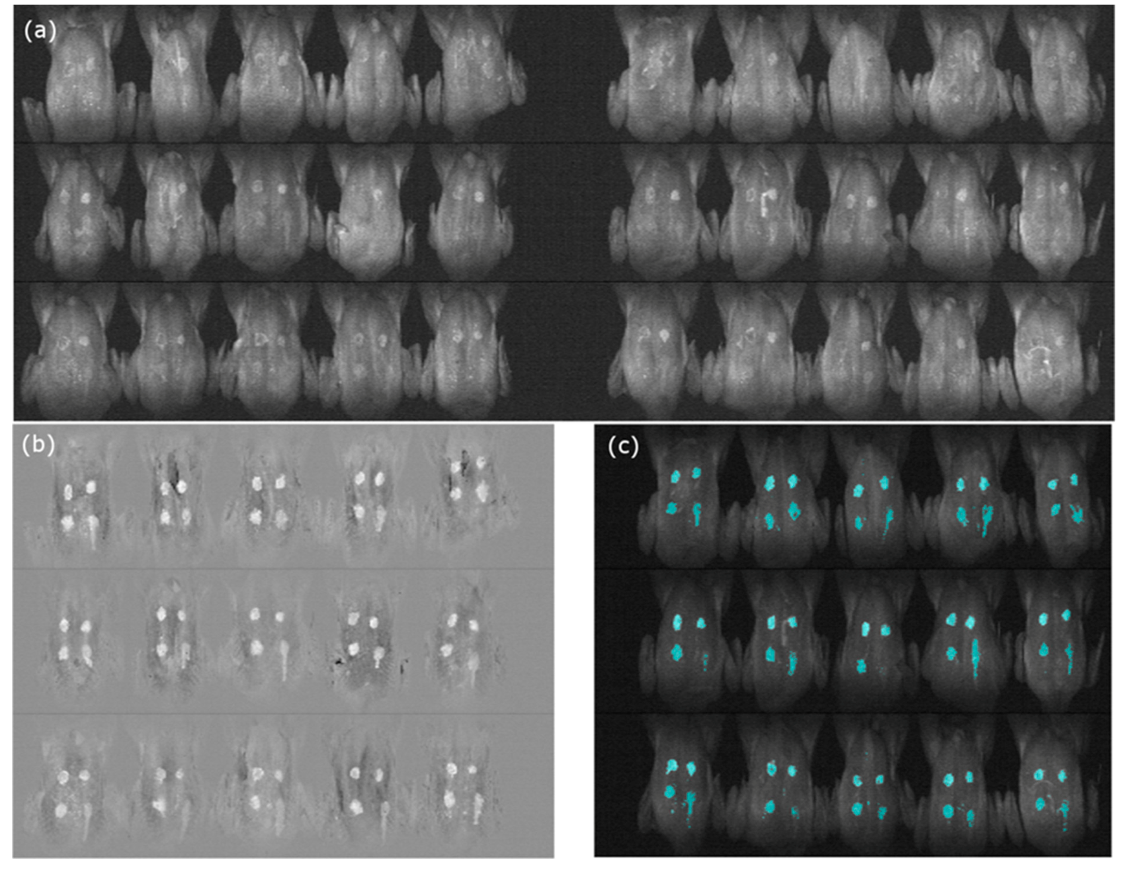 Sensors 19 03483 g011 Sensors 19 03483 g011