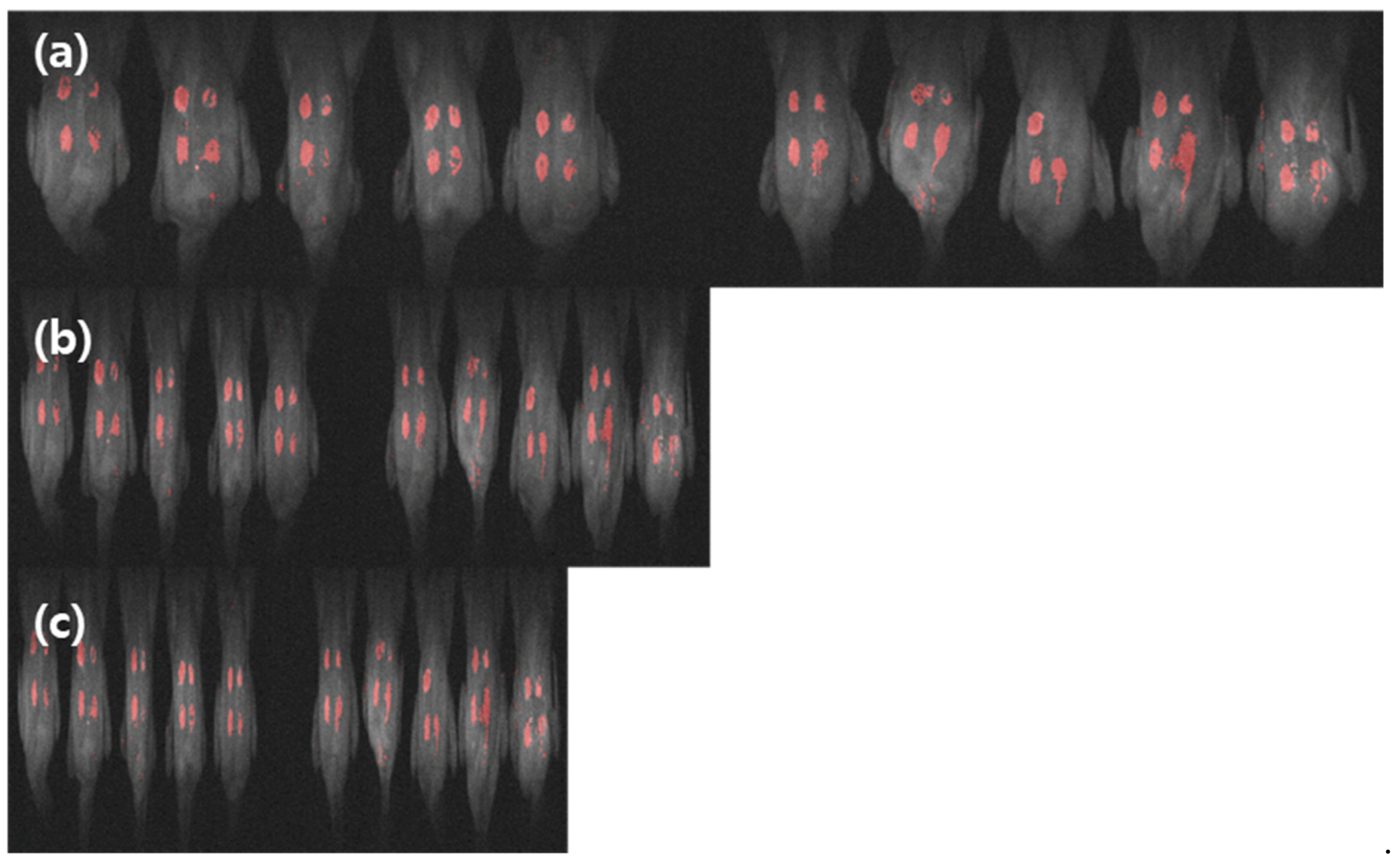 Sensors 19 03483 g012 Sensors 19 03483 g012