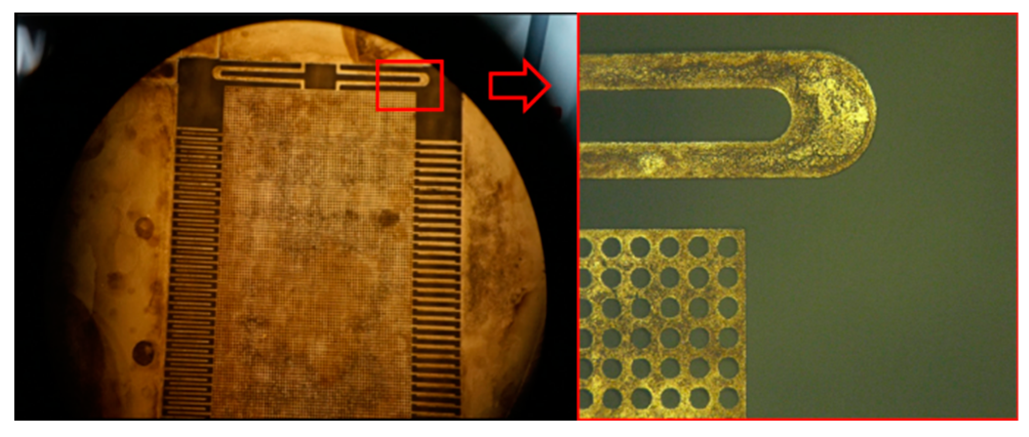 Sensors 19 03522 g013