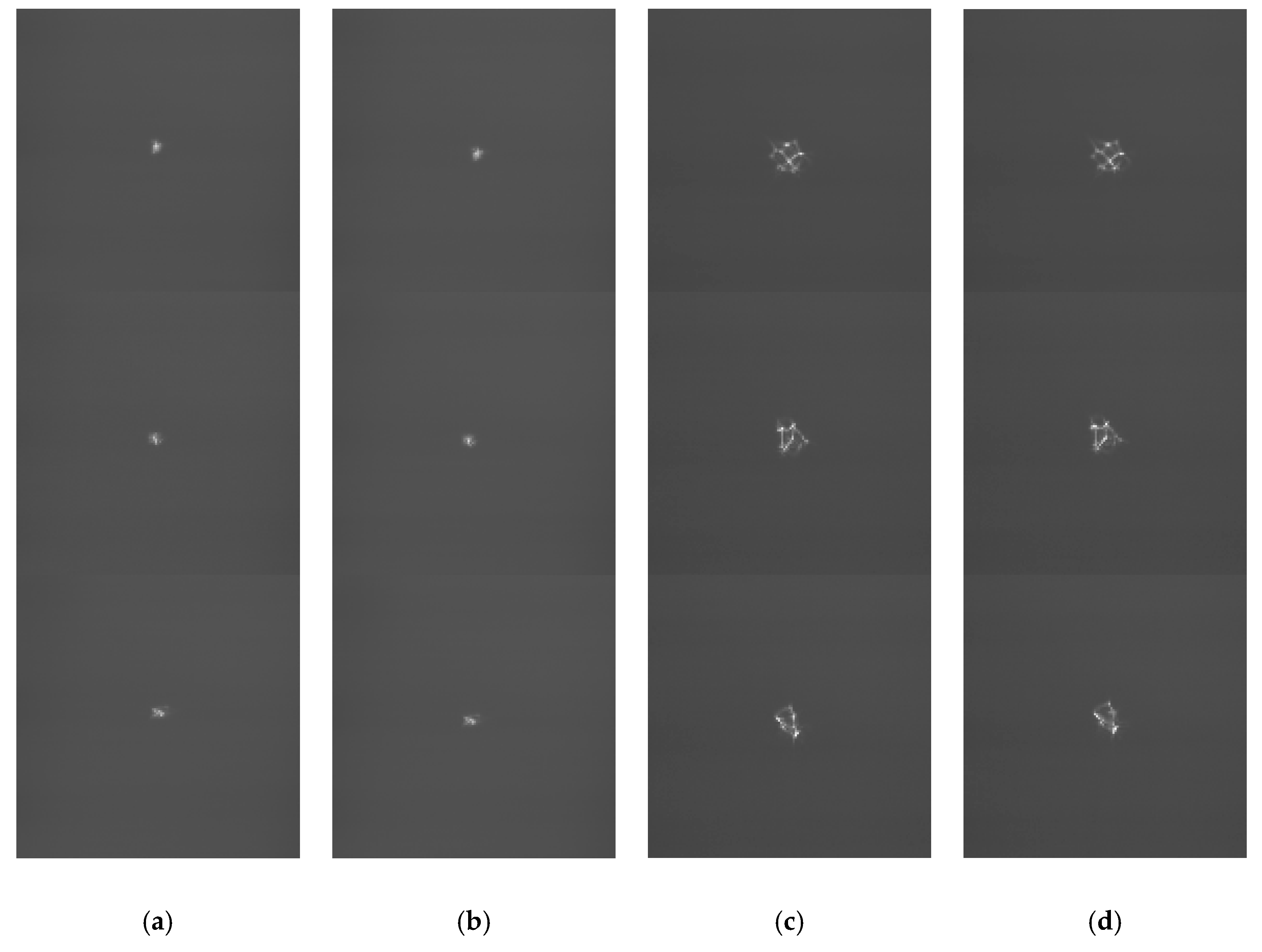 Sensors 19 03533 g010