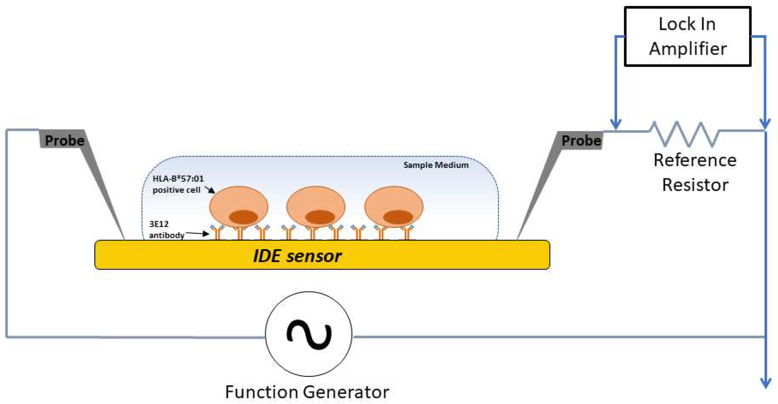 Sensors 19 03543 g001
