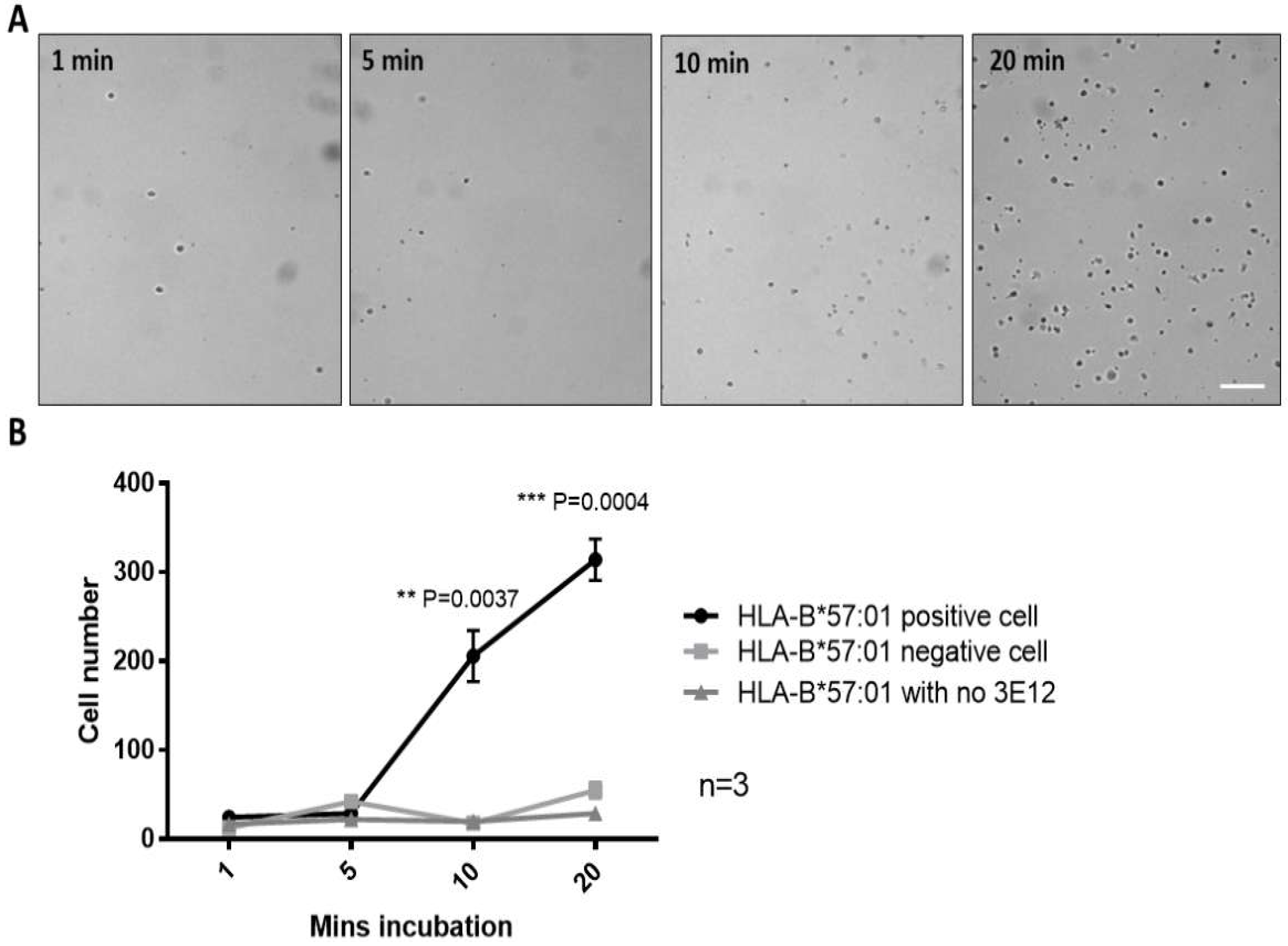 Sensors 19 03543 g003