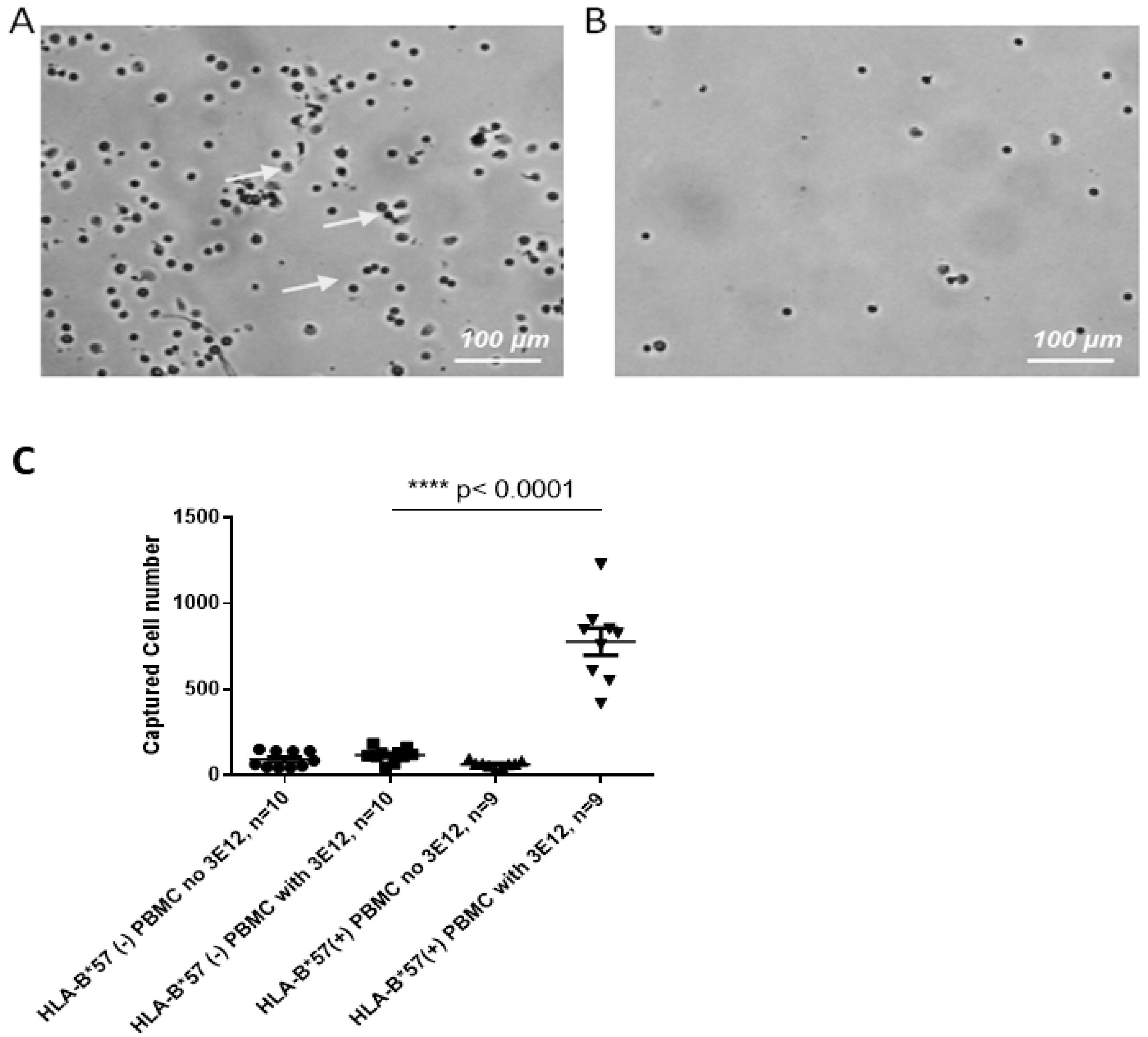 Sensors 19 03543 g005