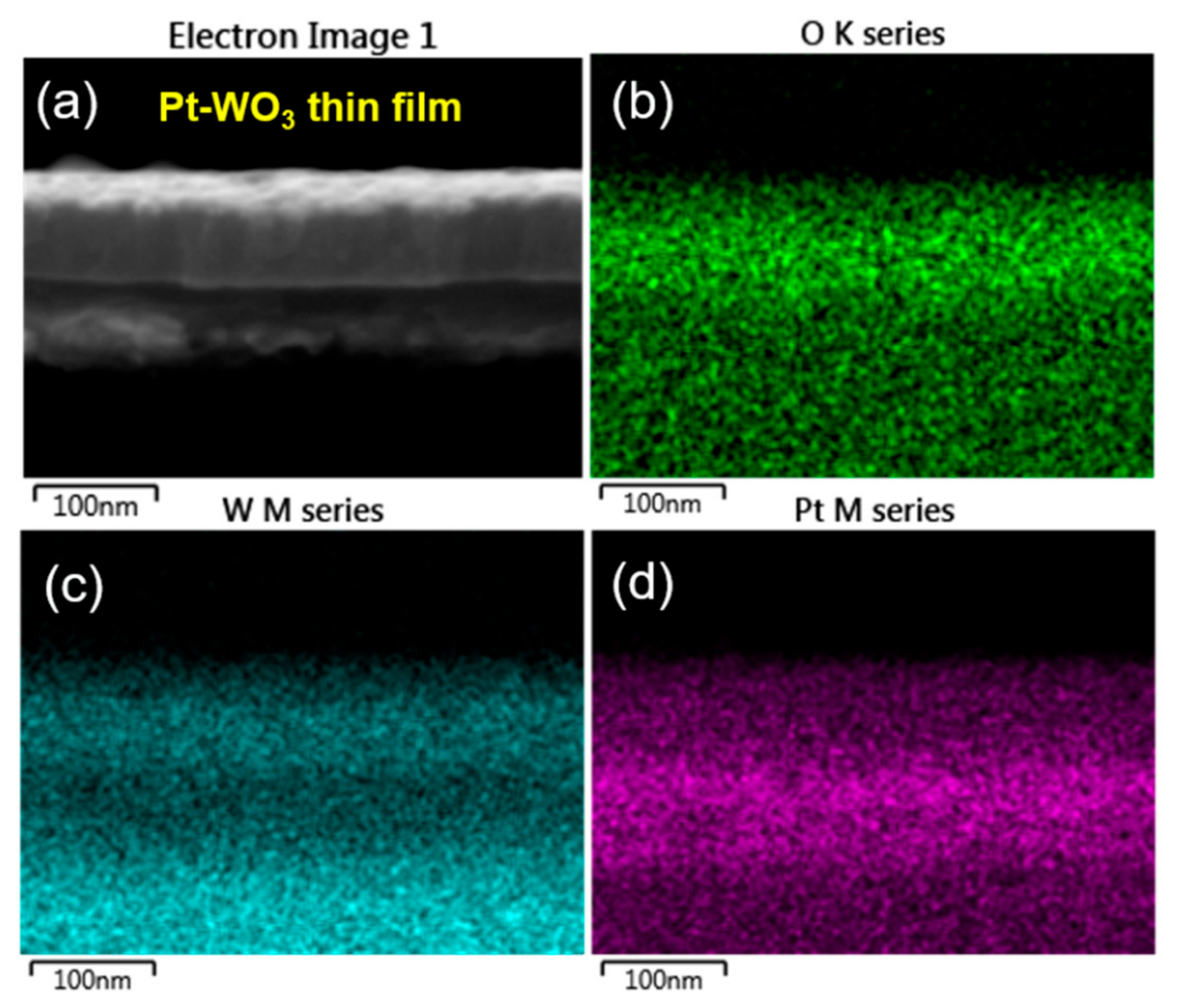 Sensors 19 03565 g009