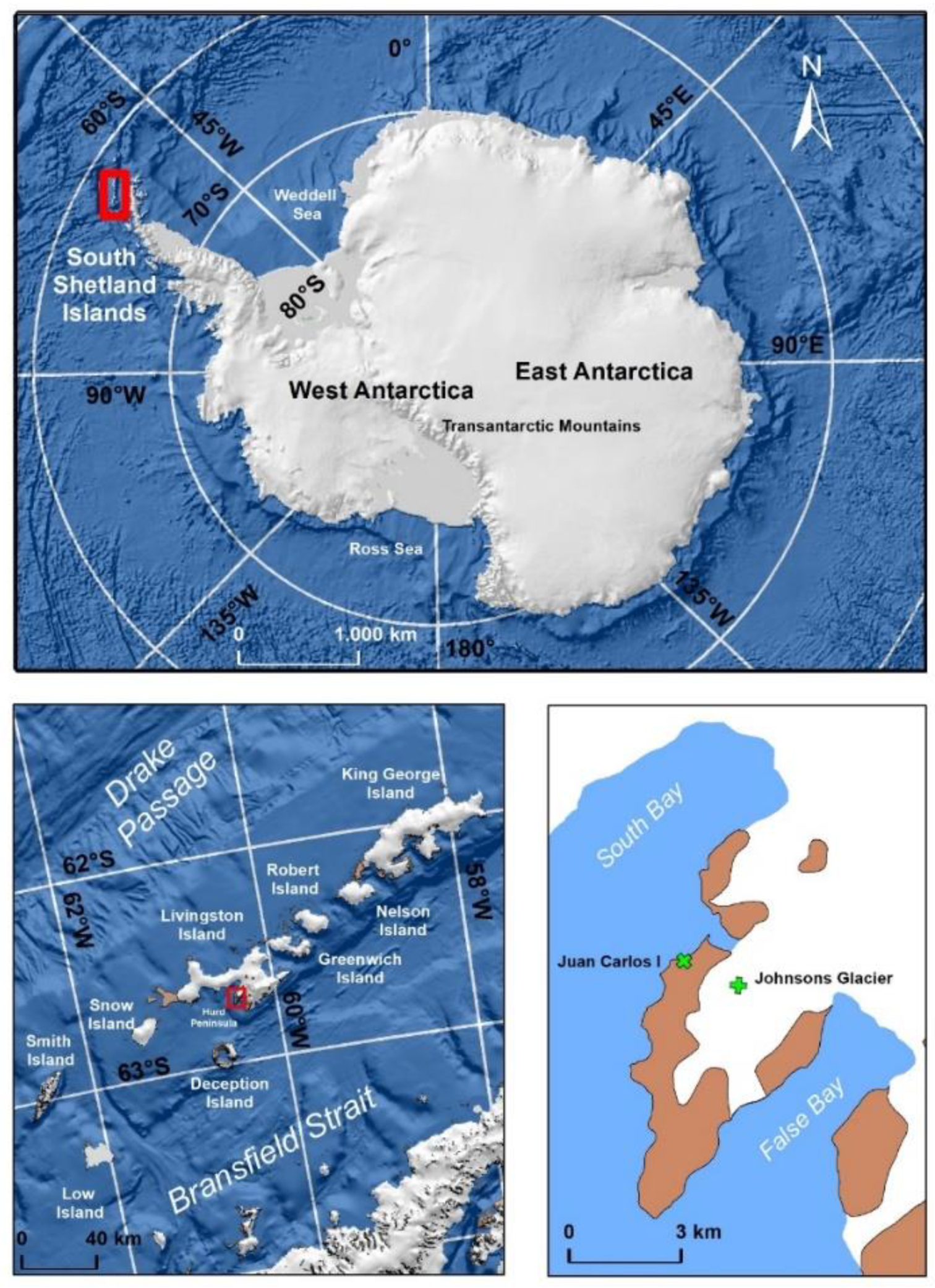 Sensors | Free Full-Text | Snow Albedo and from MODIS Sensor and Ground Data at Johnsons Glacier, Livingston Island, Maritime Antarctica |