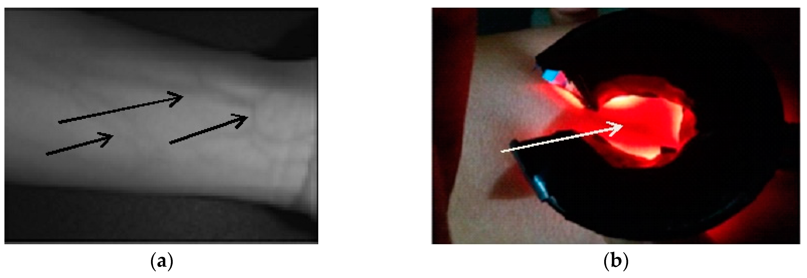 Sensors 19 03573 g004 Sensors 19 03573 g004