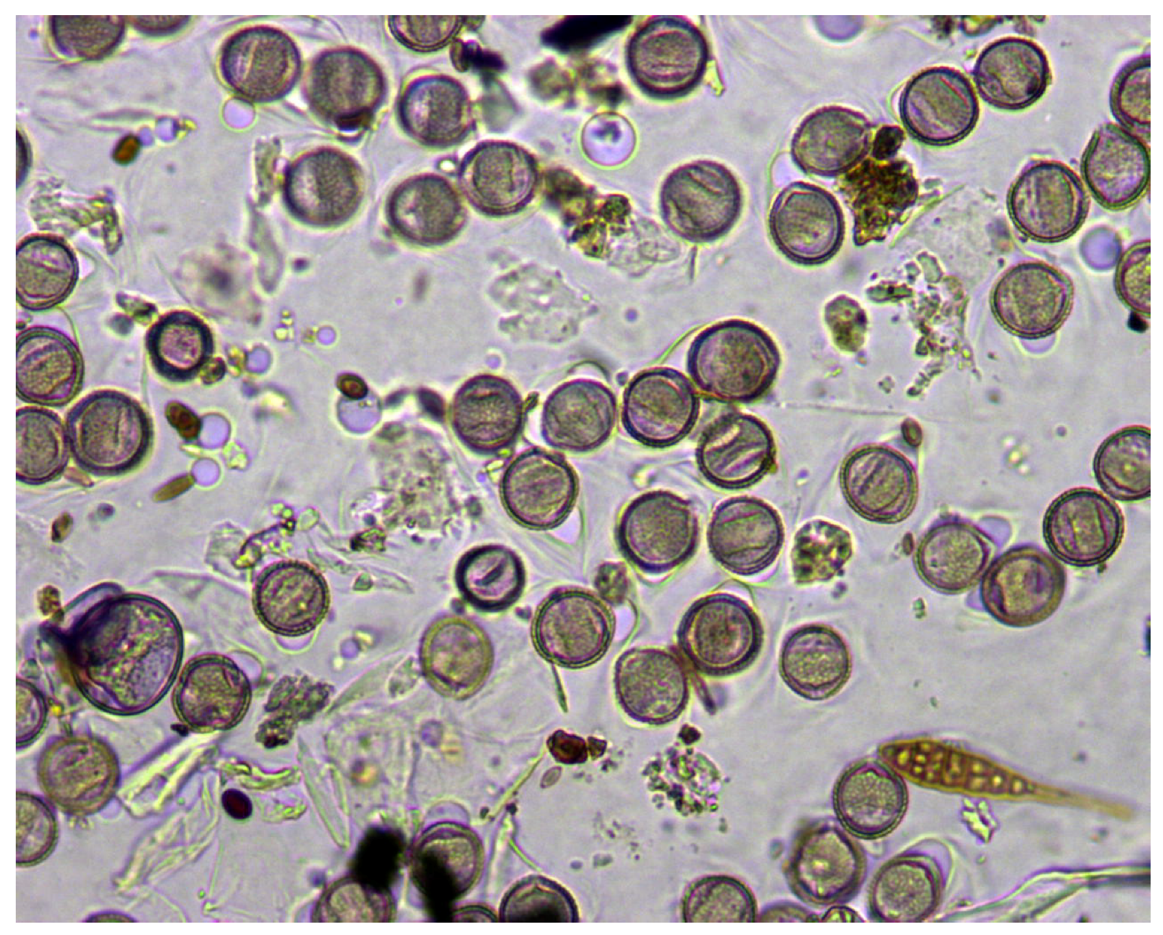 Sensors 19 03583 g002