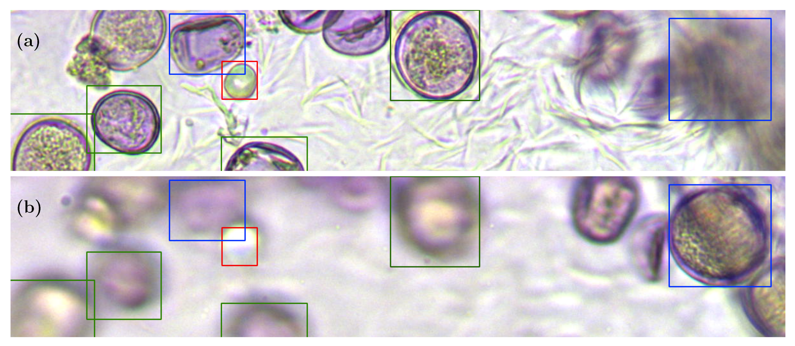 Sensors 19 03583 g009