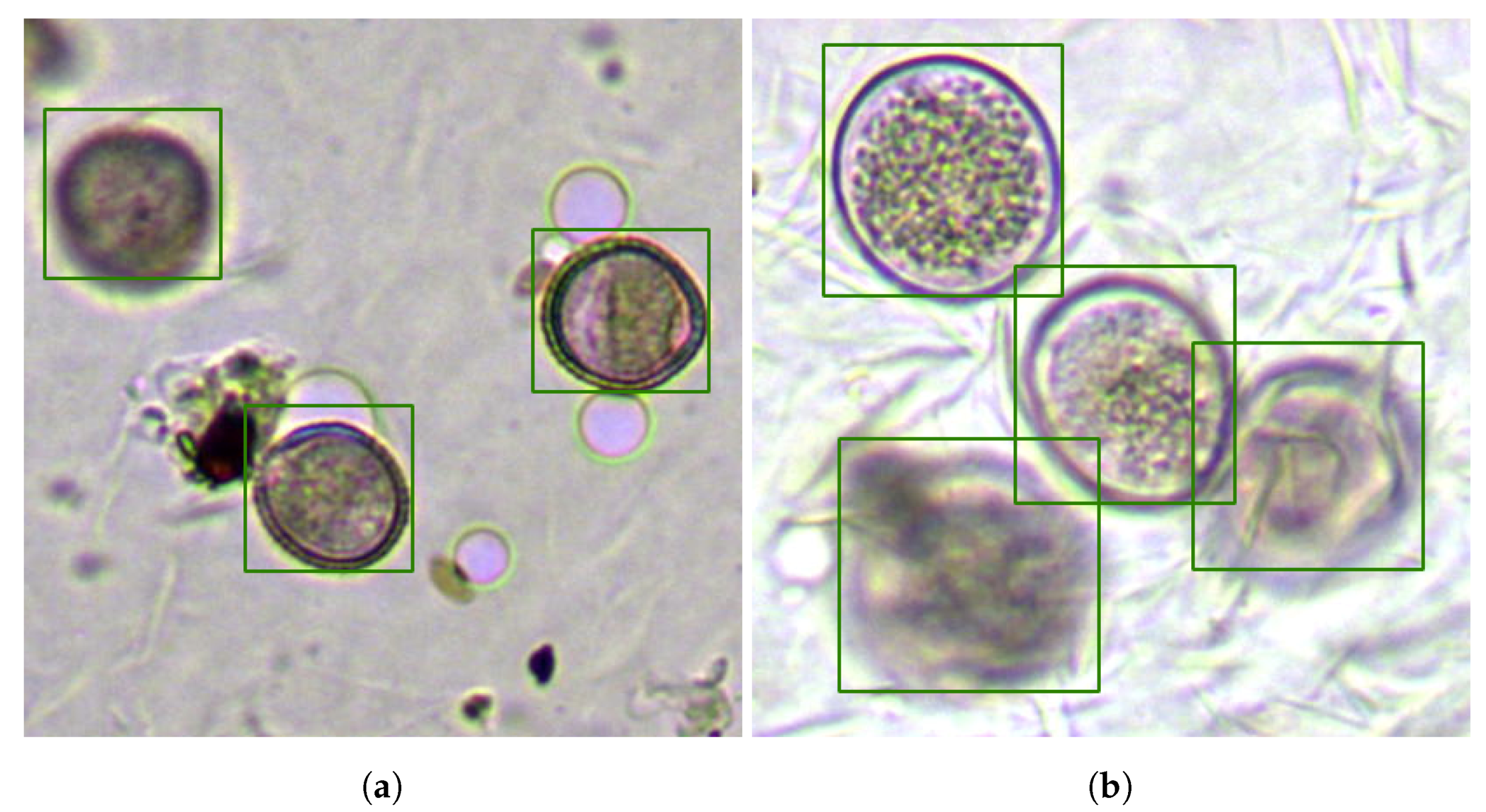 Sensors 19 03583 g010