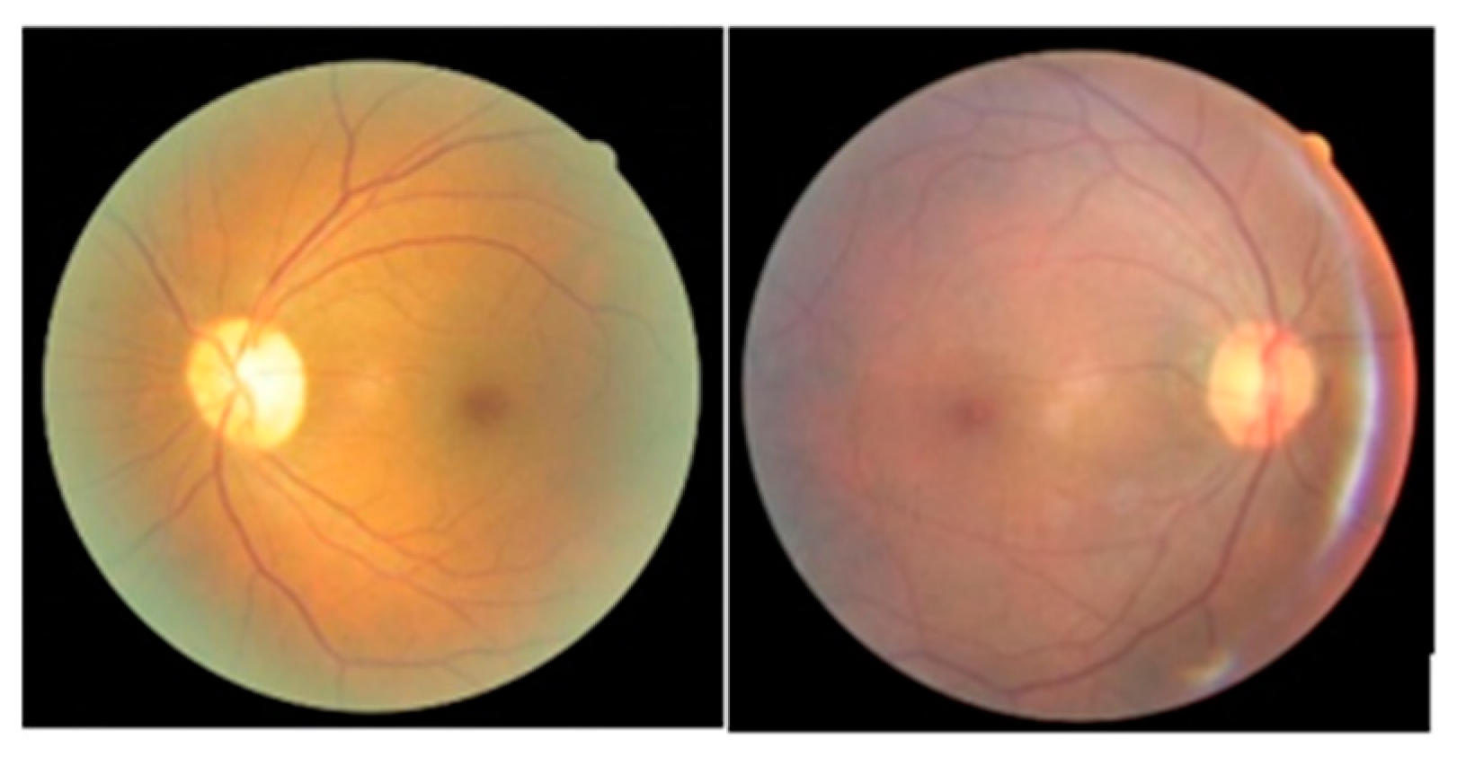 Sensors 19 03584 g004 Sensors 19 03584 g004