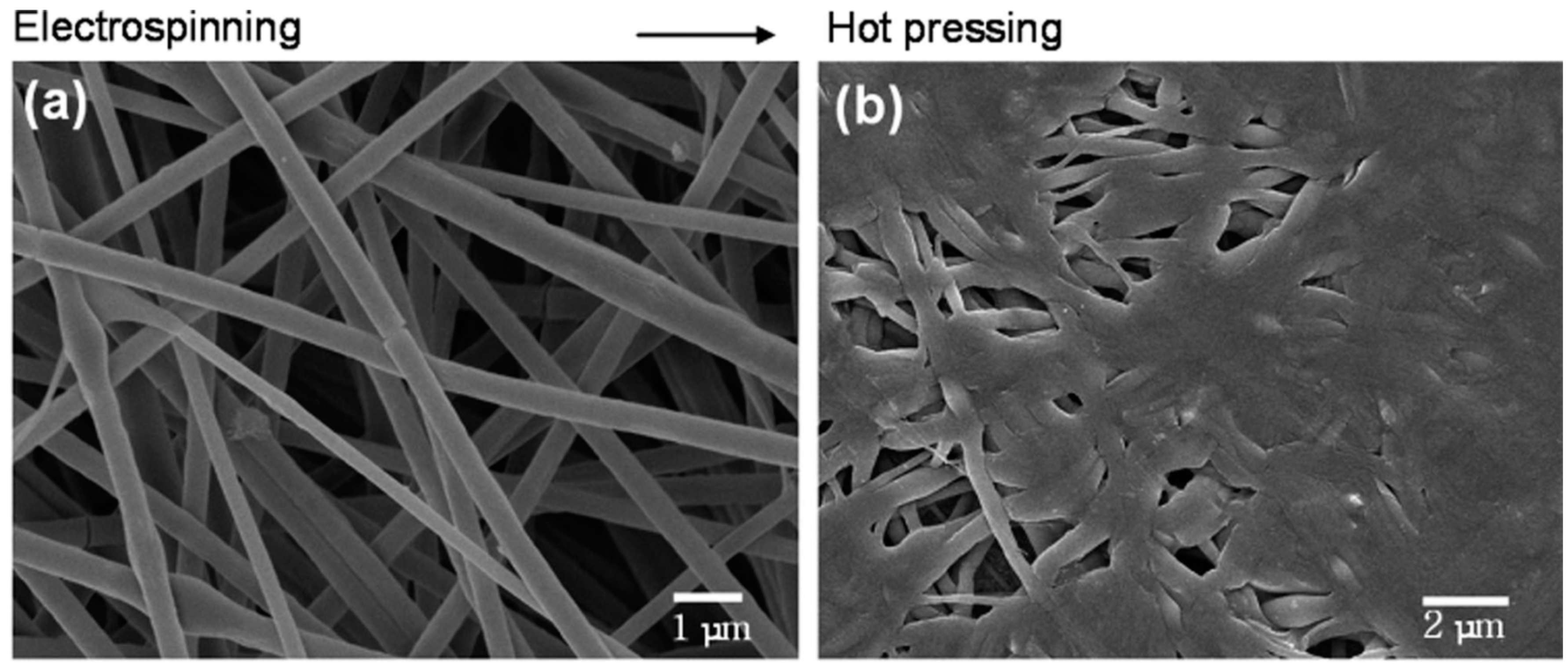 Sensors 19 03587 g008 Sensors 19 03587 g008