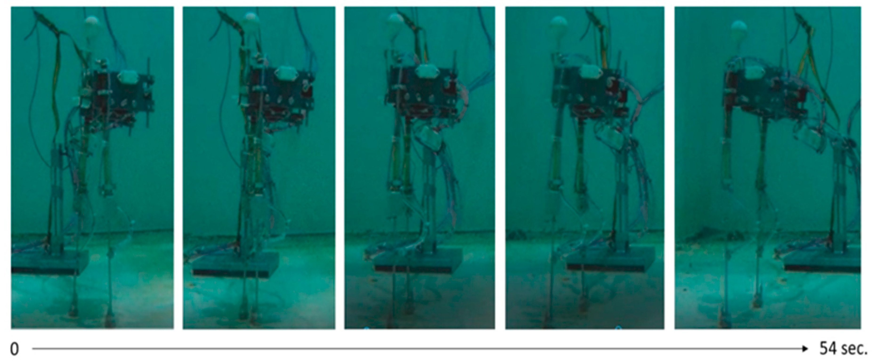 Sensors 19 03588 g019