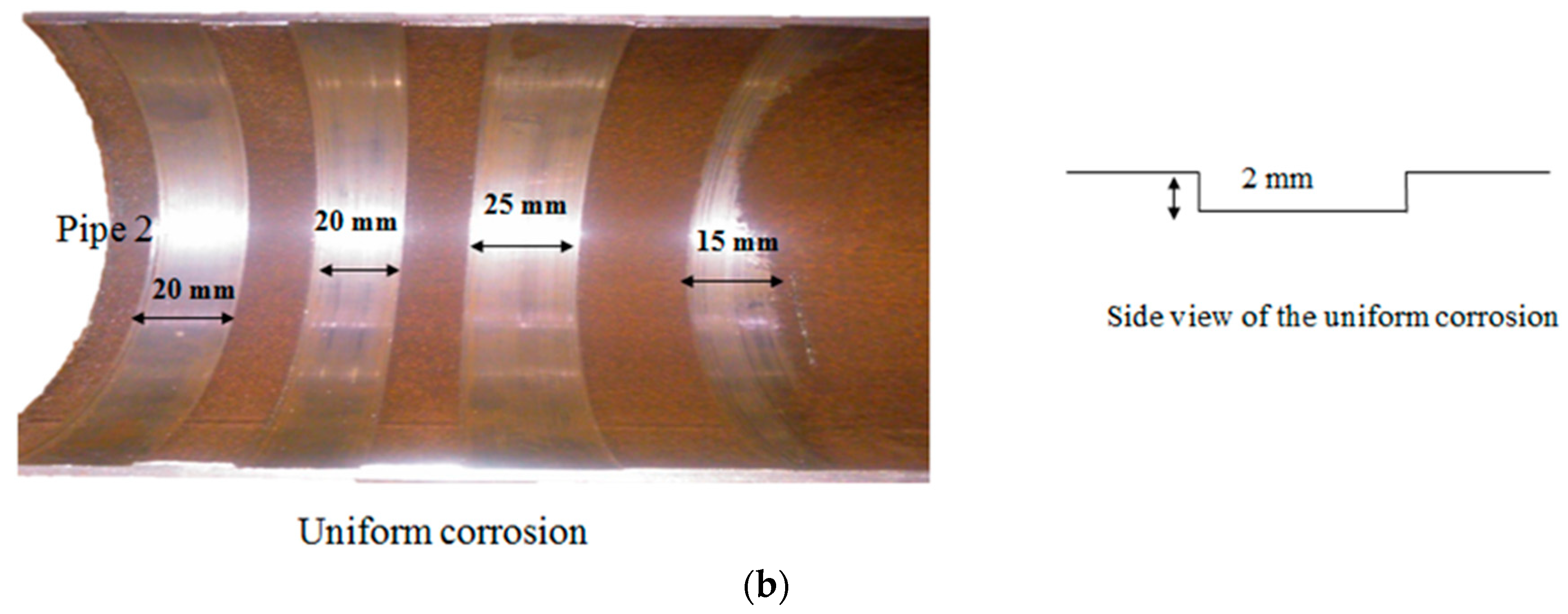 Sensors 19 03615 g003b