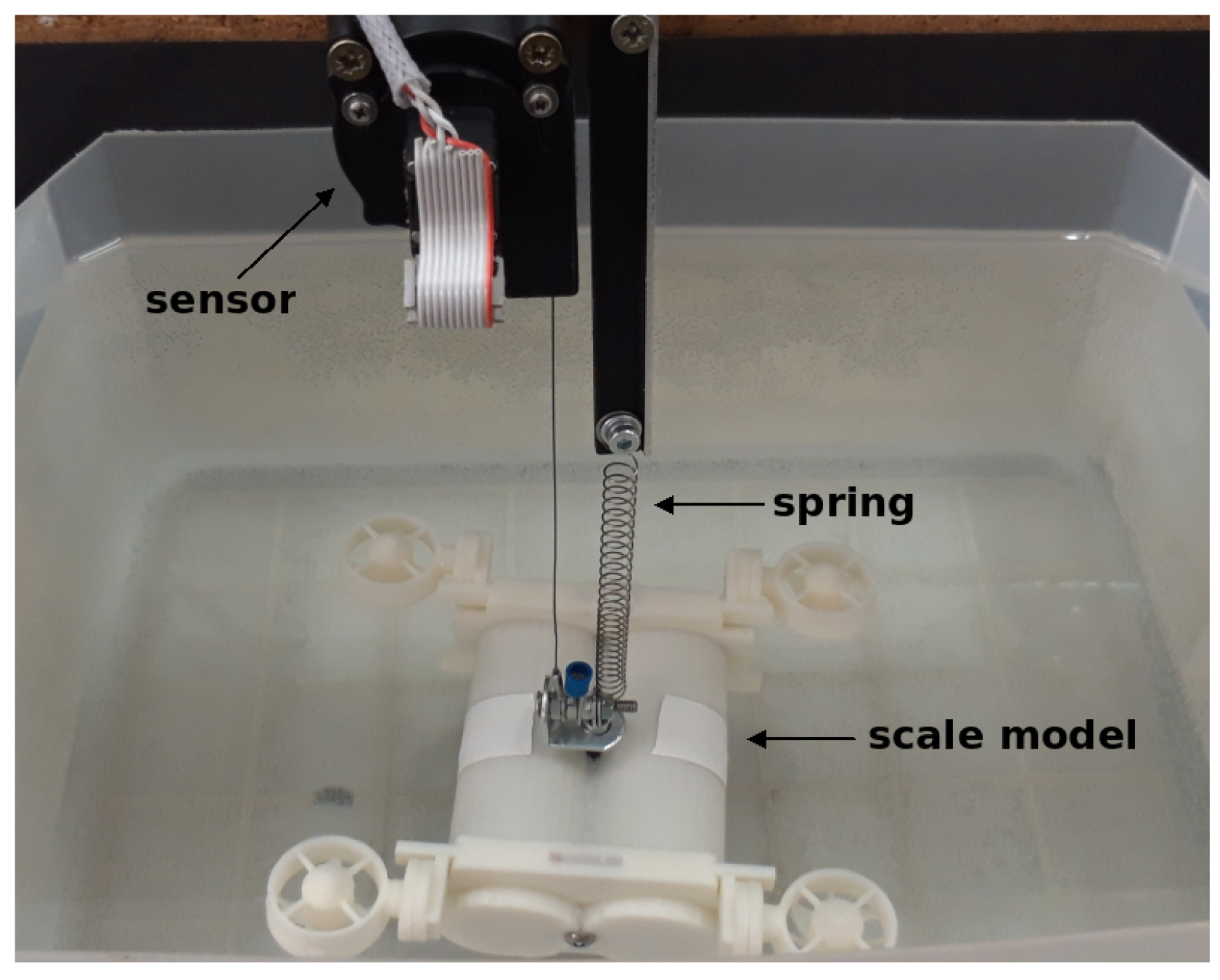 Sensors 19 03631 g006