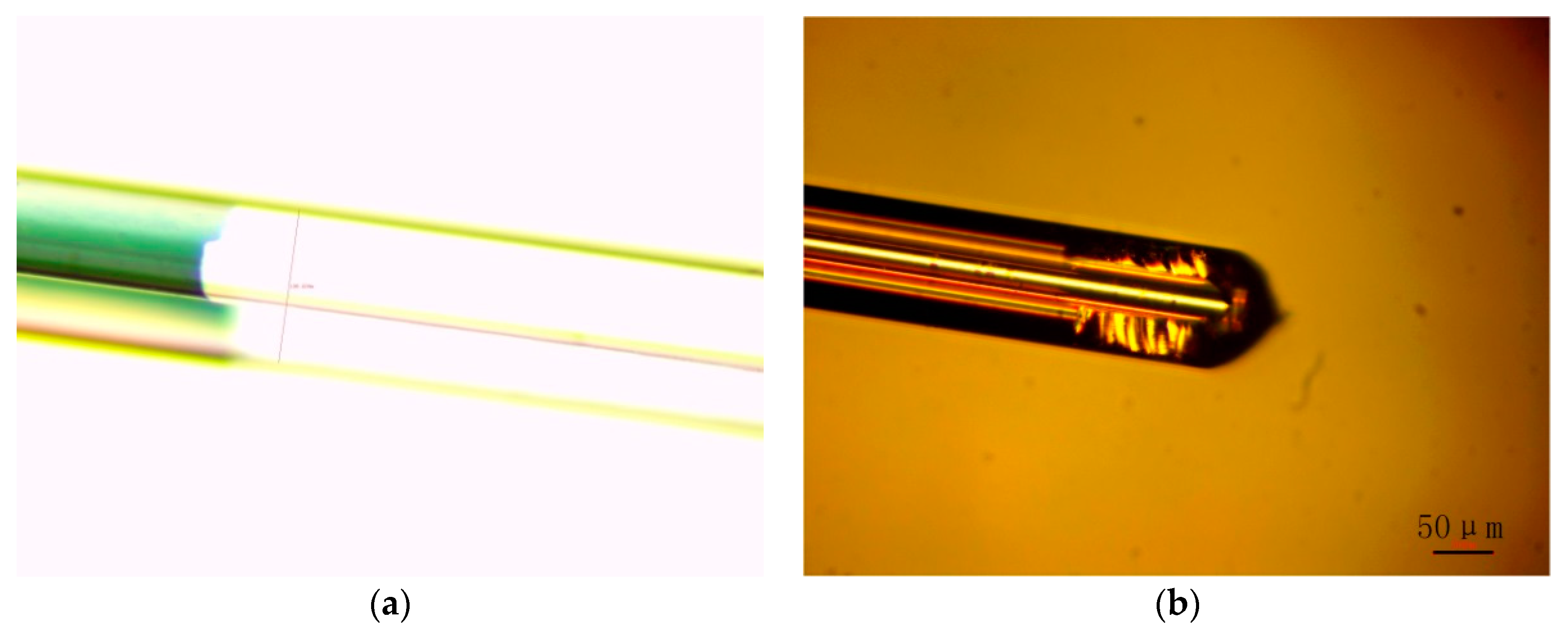 Sensors 19 03666 g007 550