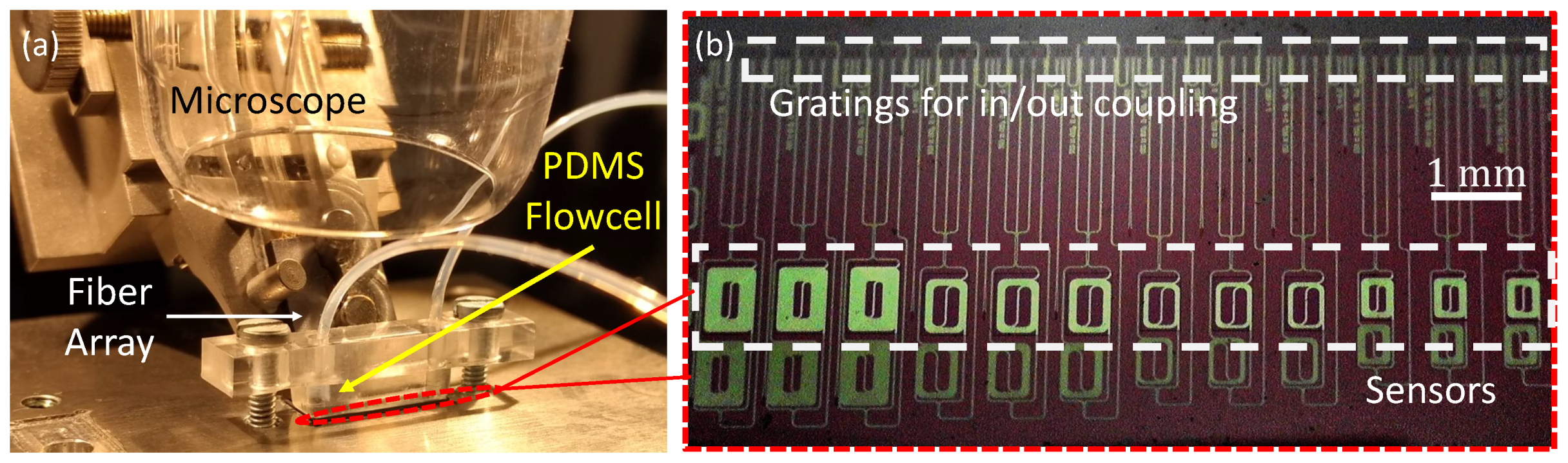 Sensors 19 03671 g003 Sensors 19 03671 g003
