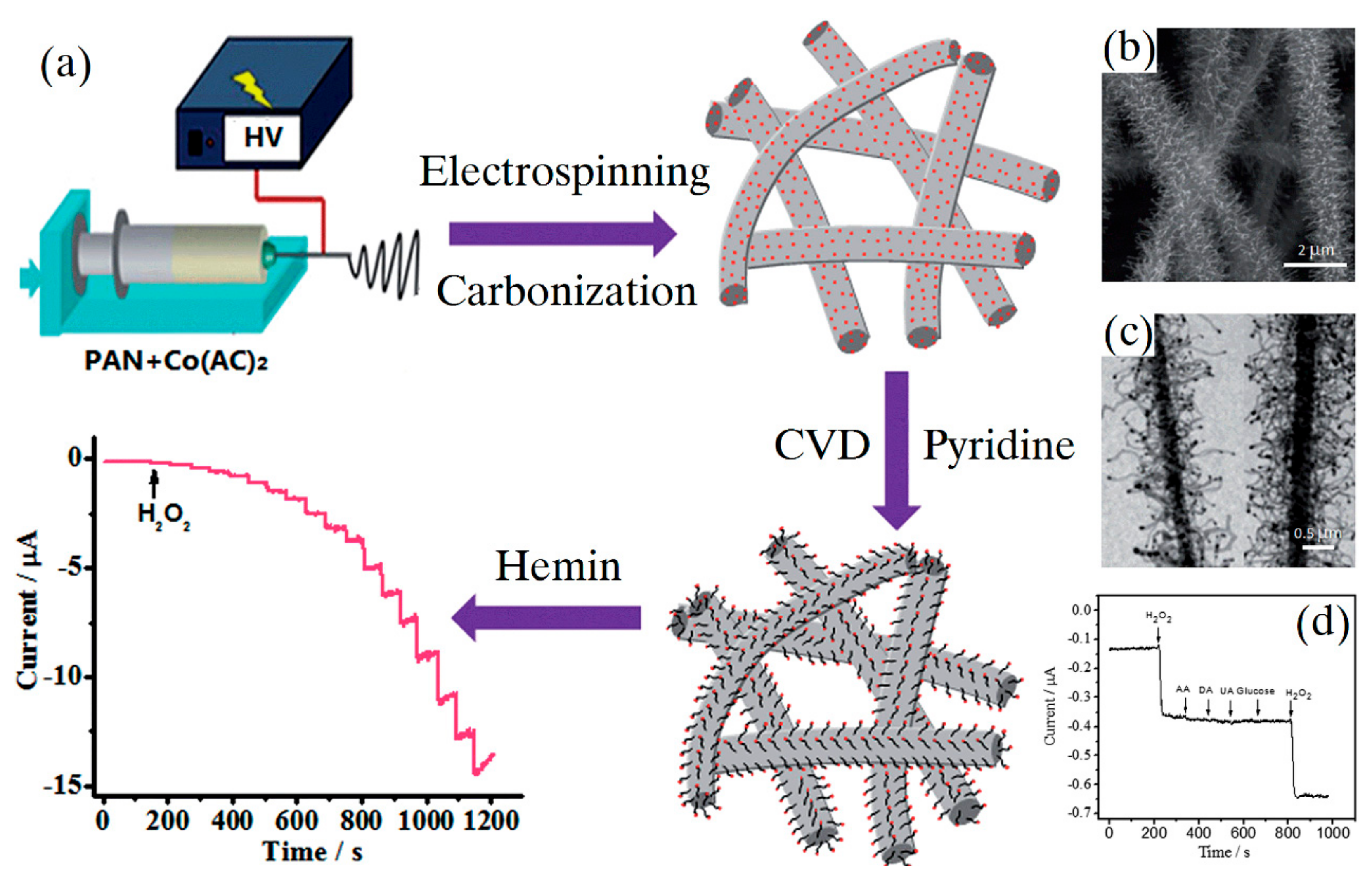 Sensors 19 03676 g005 Sensors 19 03676 g005