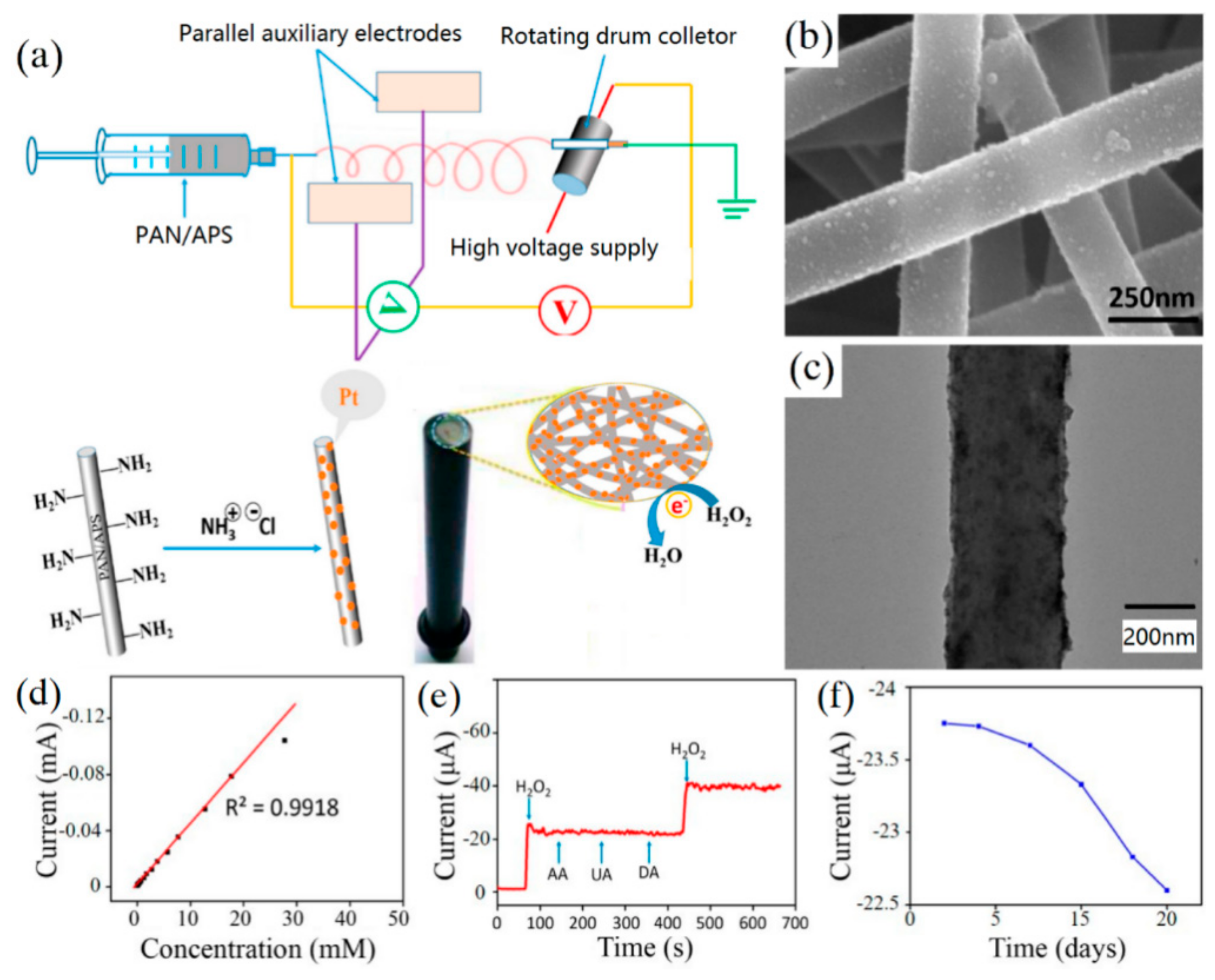 Sensors 19 03676 g007 Sensors 19 03676 g007