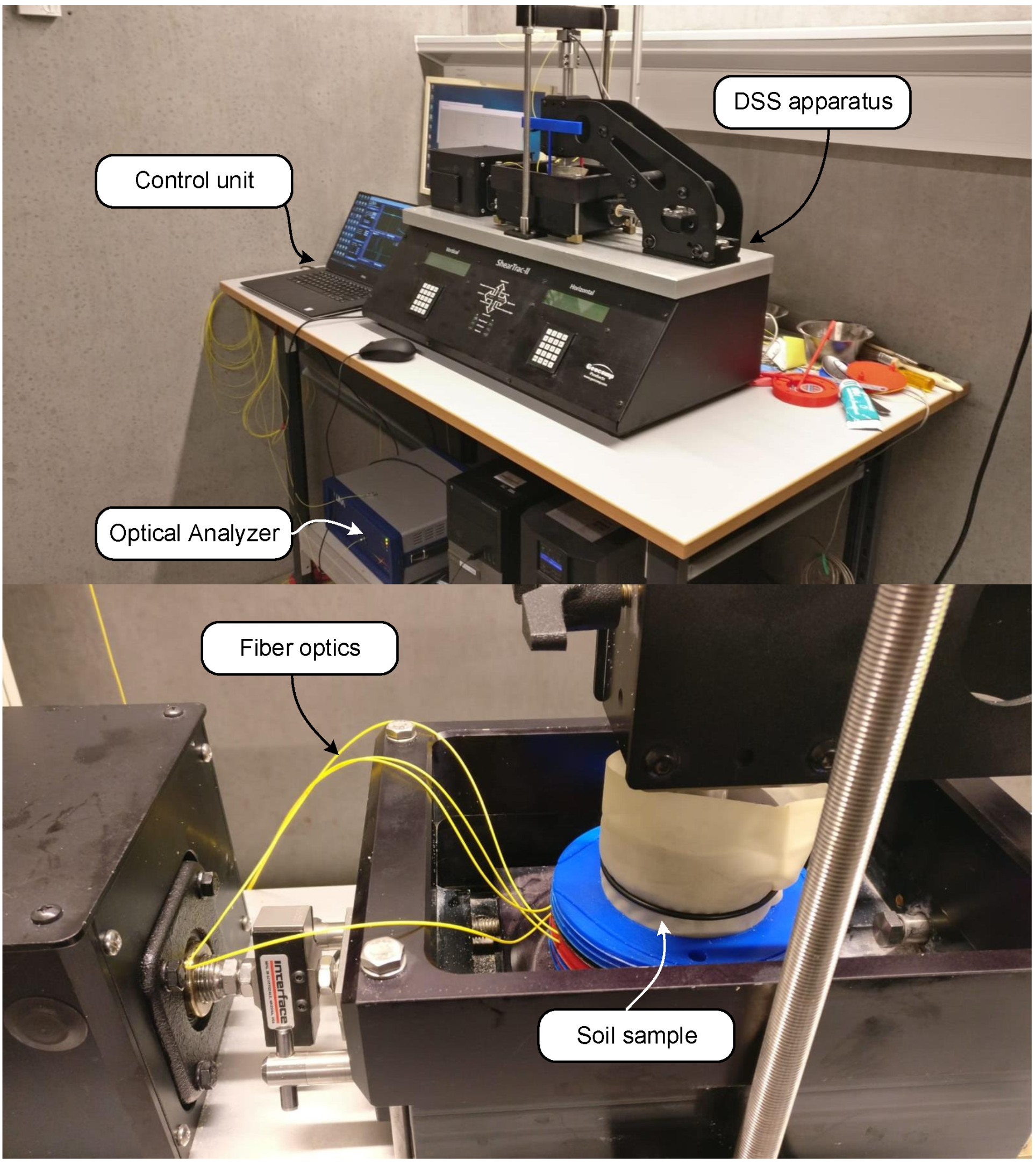 Sensors 19 03684 g006