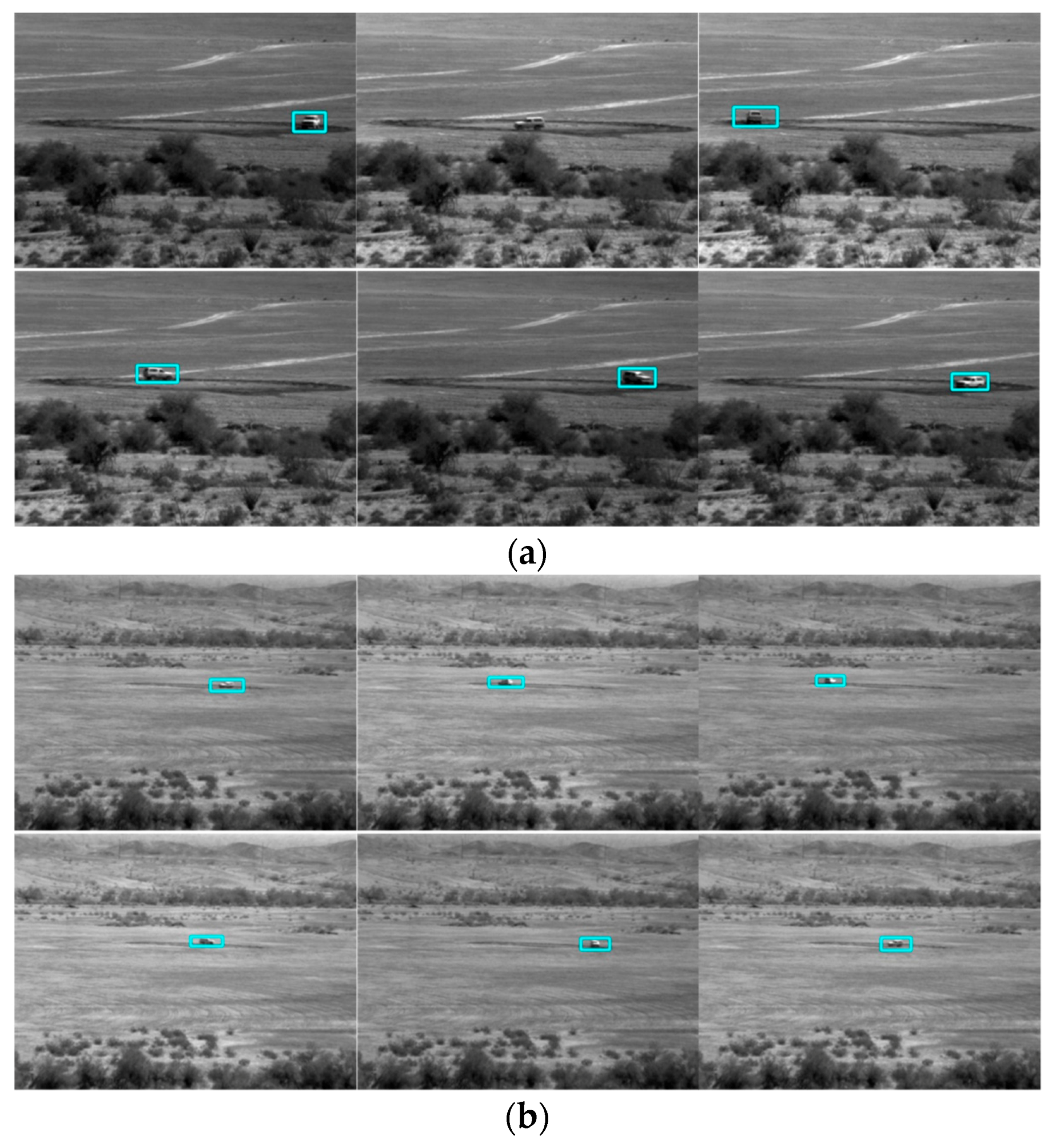 Sensors 19 03702 g009a 550