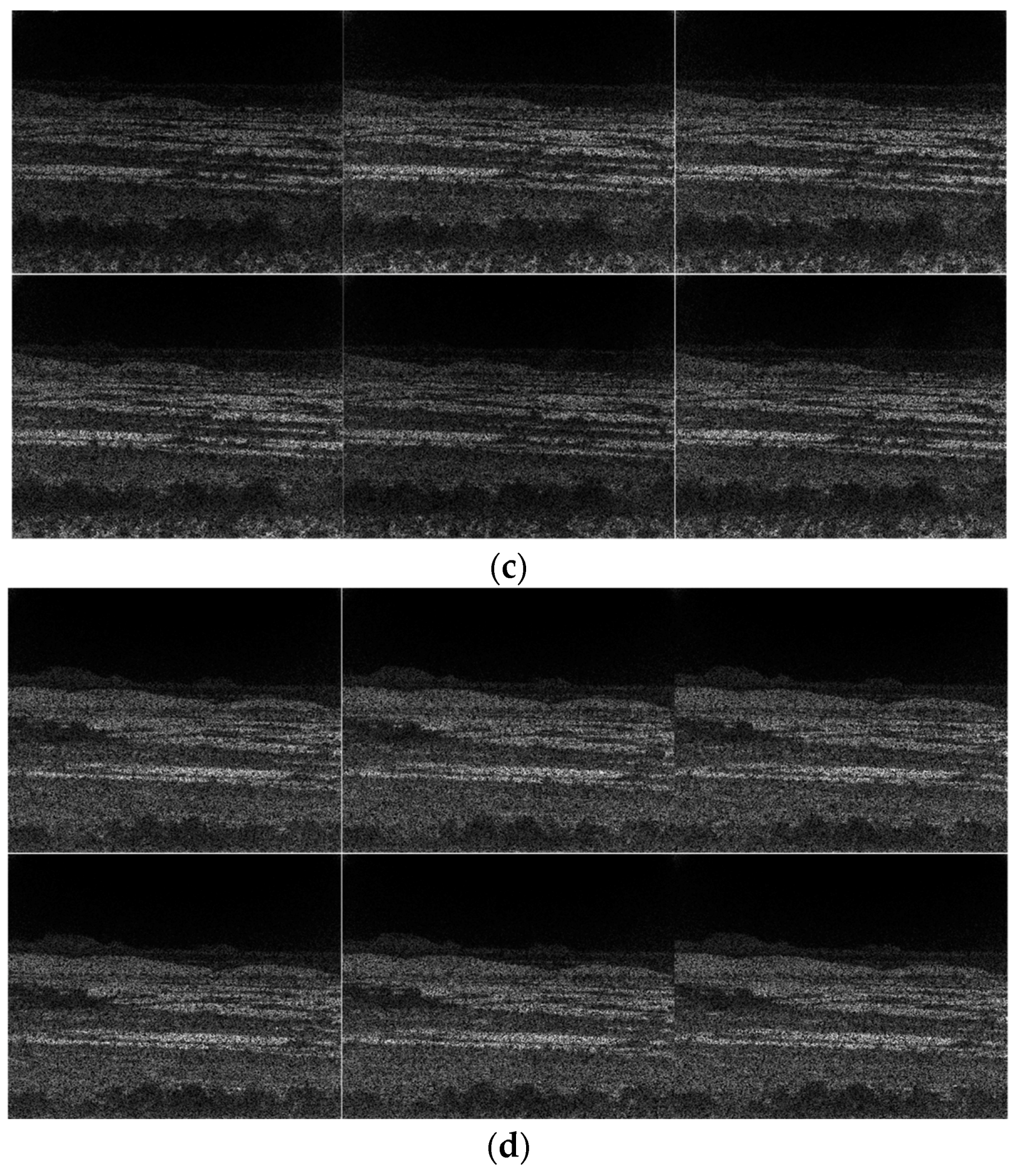 Sensors 19 03702 g0a3b 550