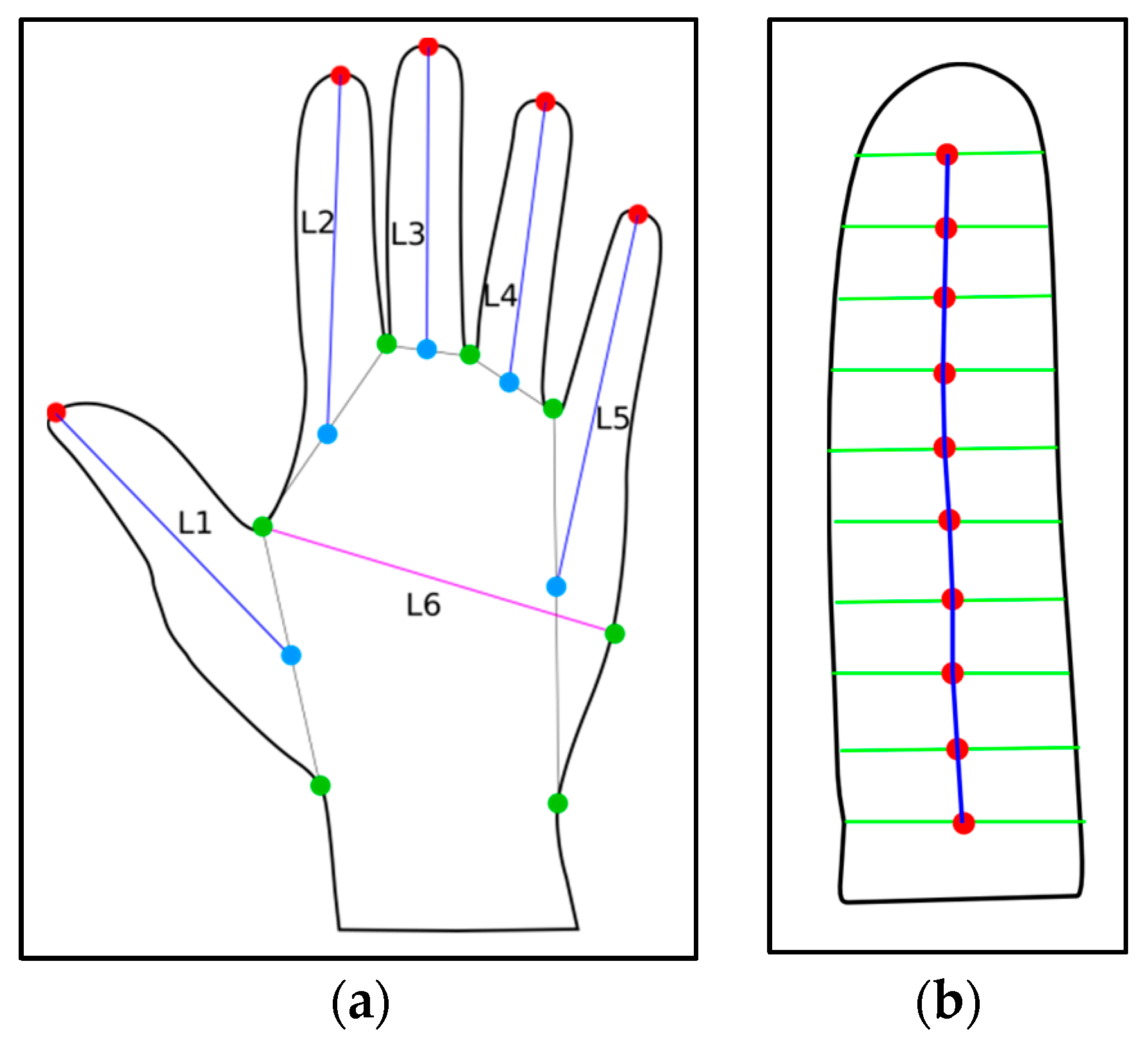 Sensors 19 03709 g002 Sensors 19 03709 g002