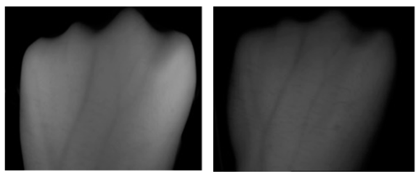 Sensors 19 03718 g015 Sensors 19 03718 g015