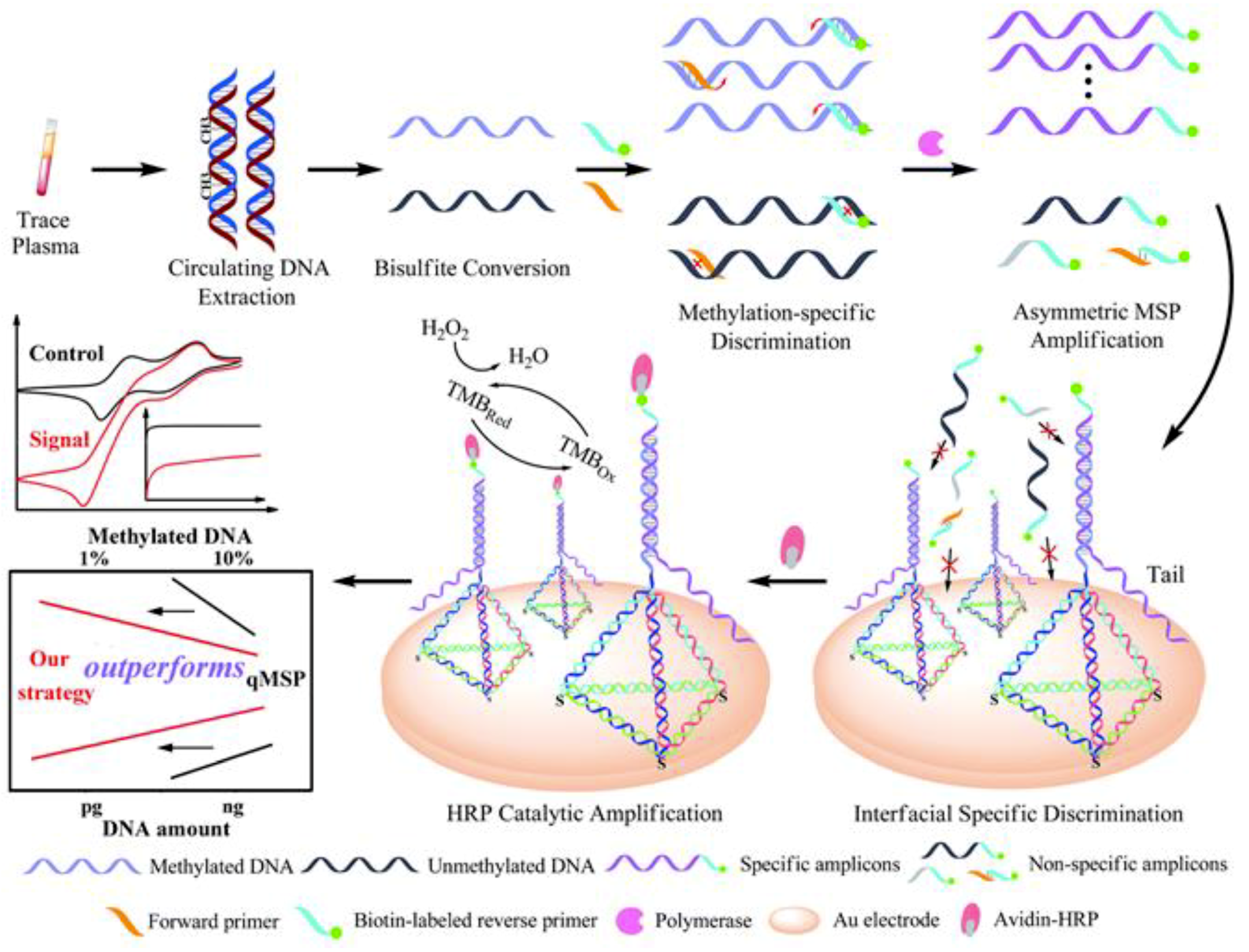 Sensors 19 03762 g005 Sensors 19 03762 g005