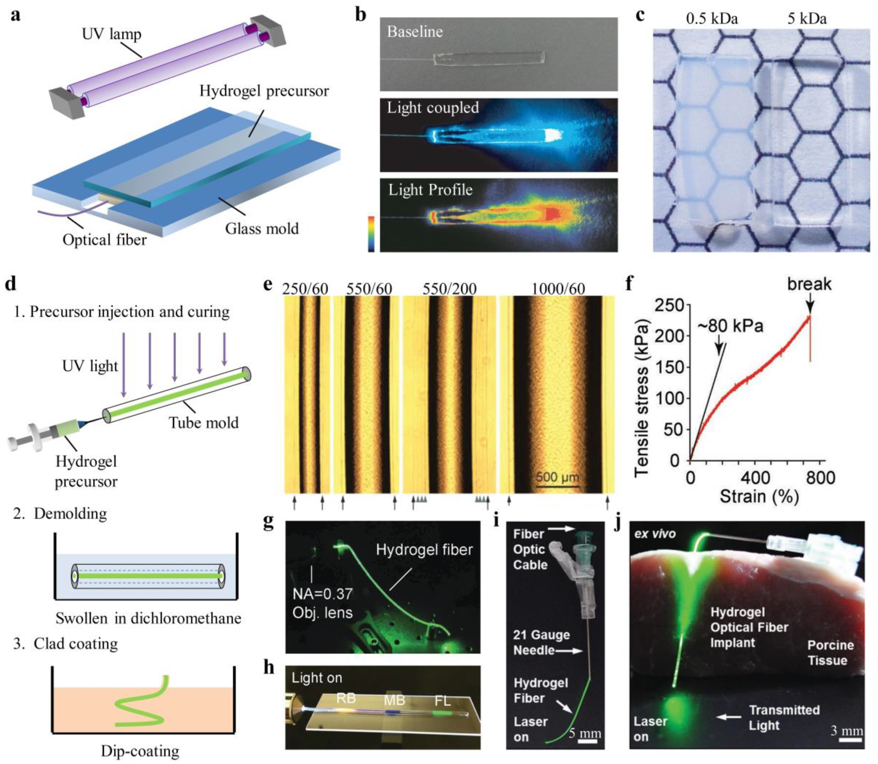 Sensors Free FullText Soft and Stretchable Polymeric Optical