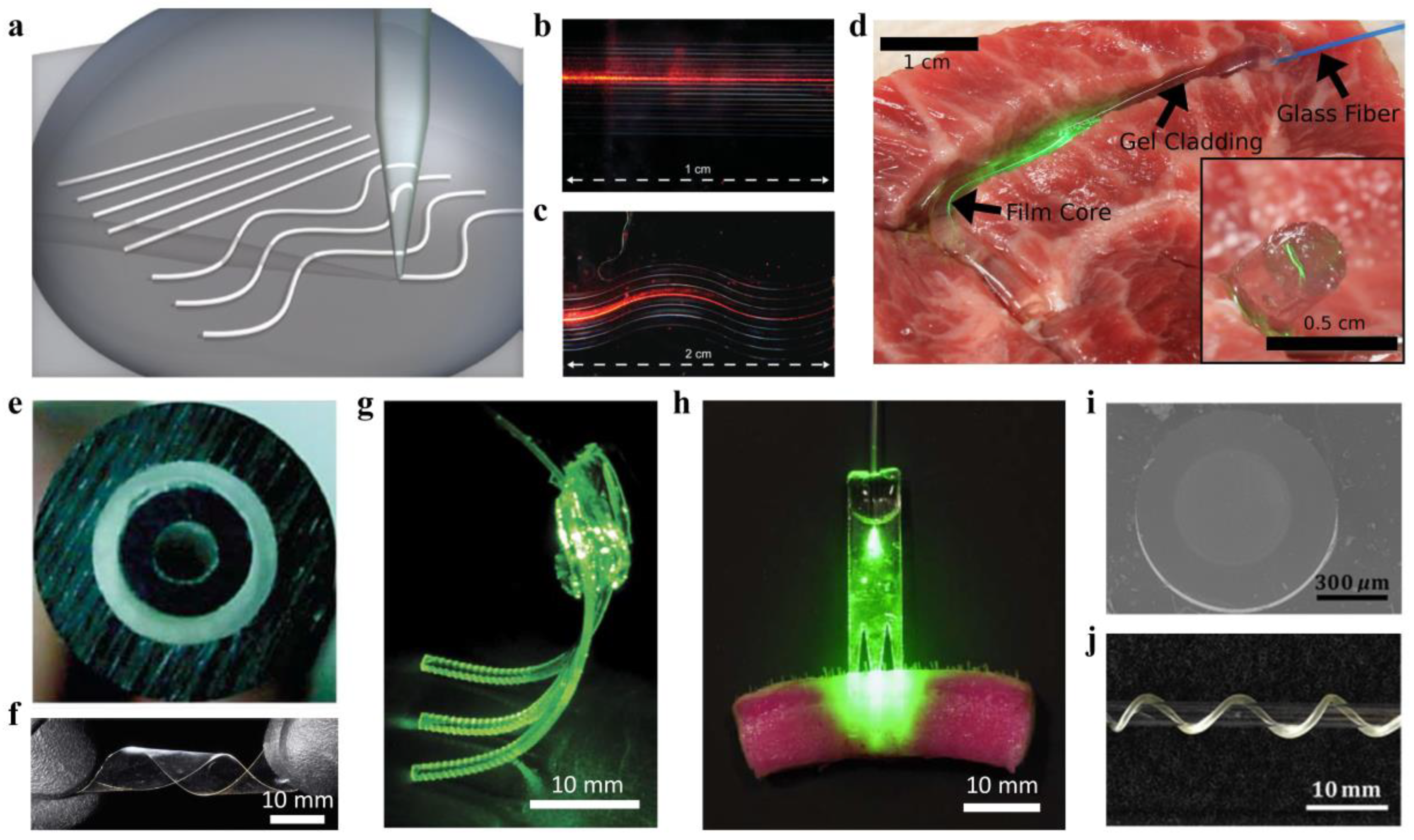 Sensors Free FullText Soft and Stretchable Polymeric Optical