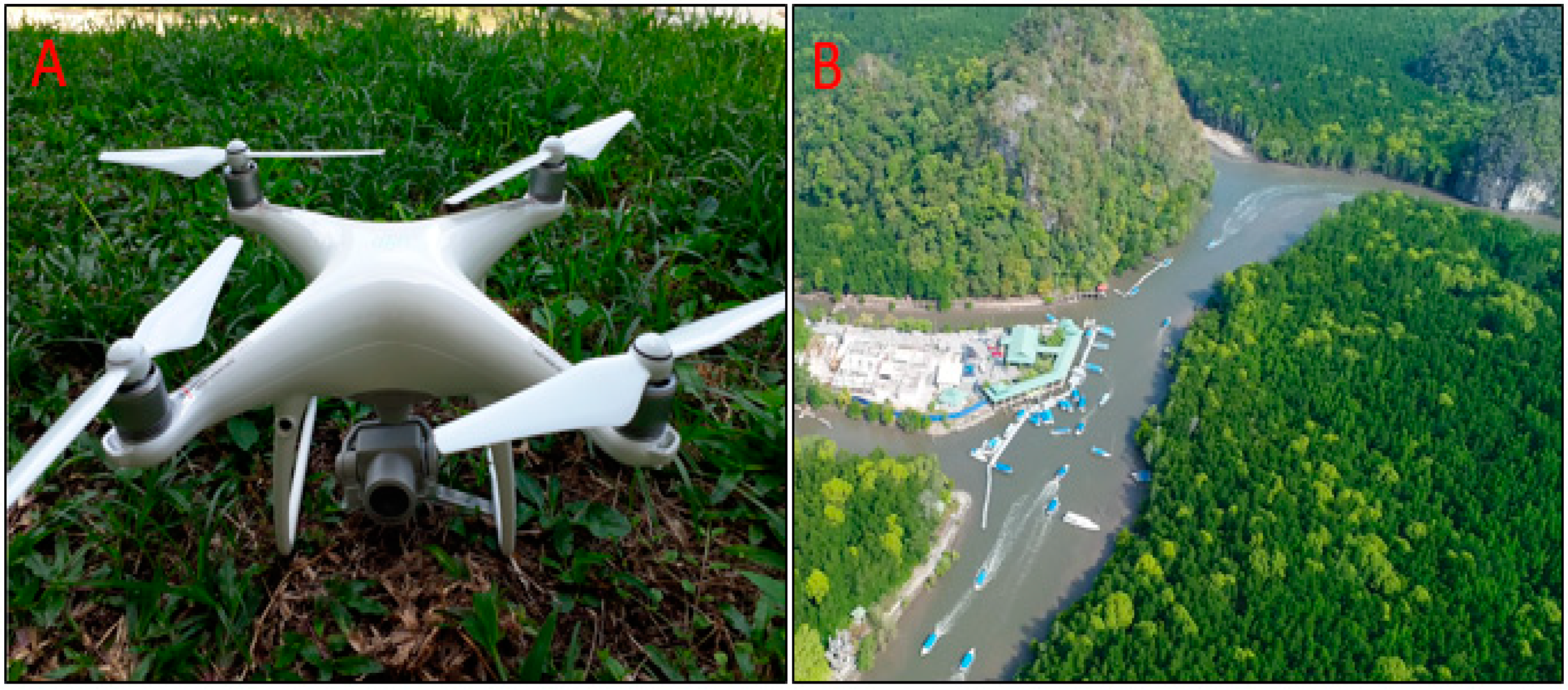 Sensors 19 03778 g002