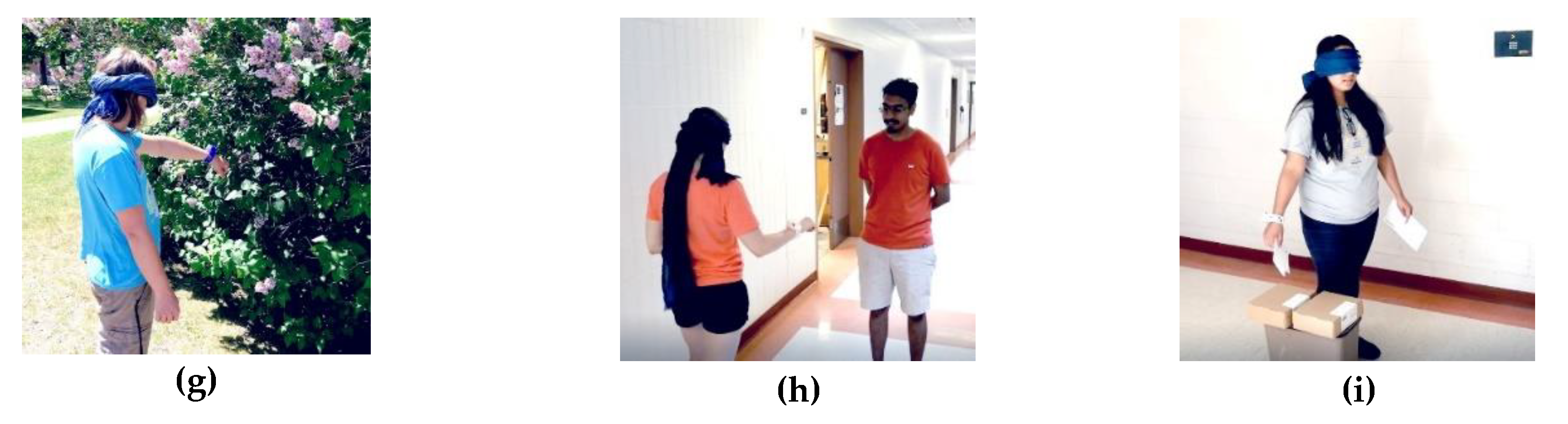 Sensors 19 03783 g006b Sensors 19 03783 g006b