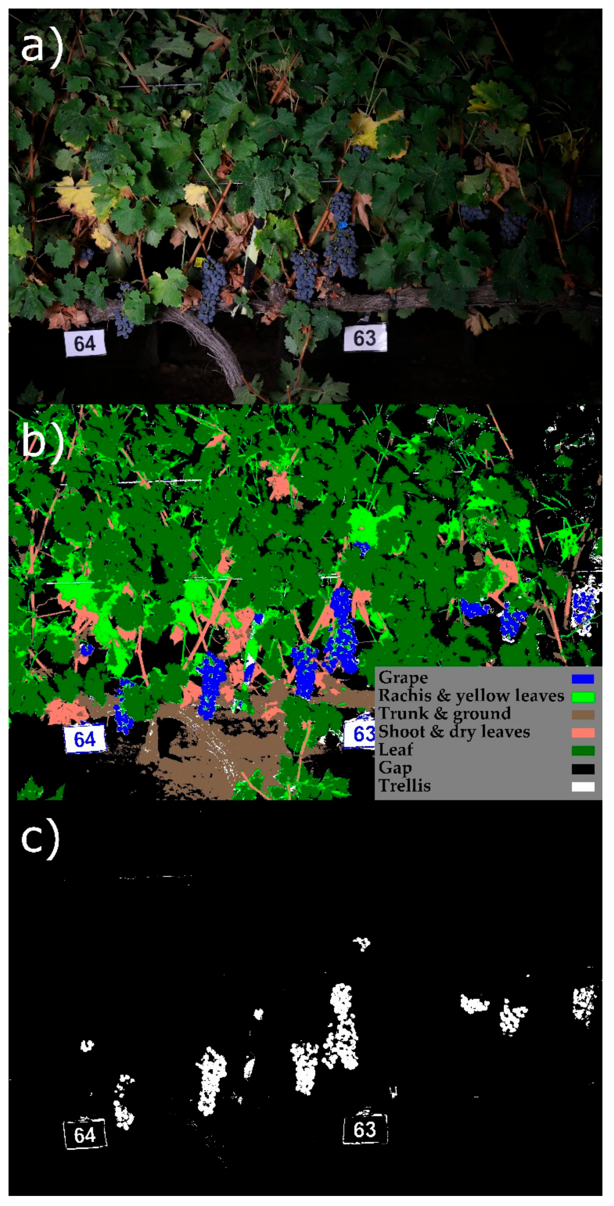 Sensors 19 03799 g004