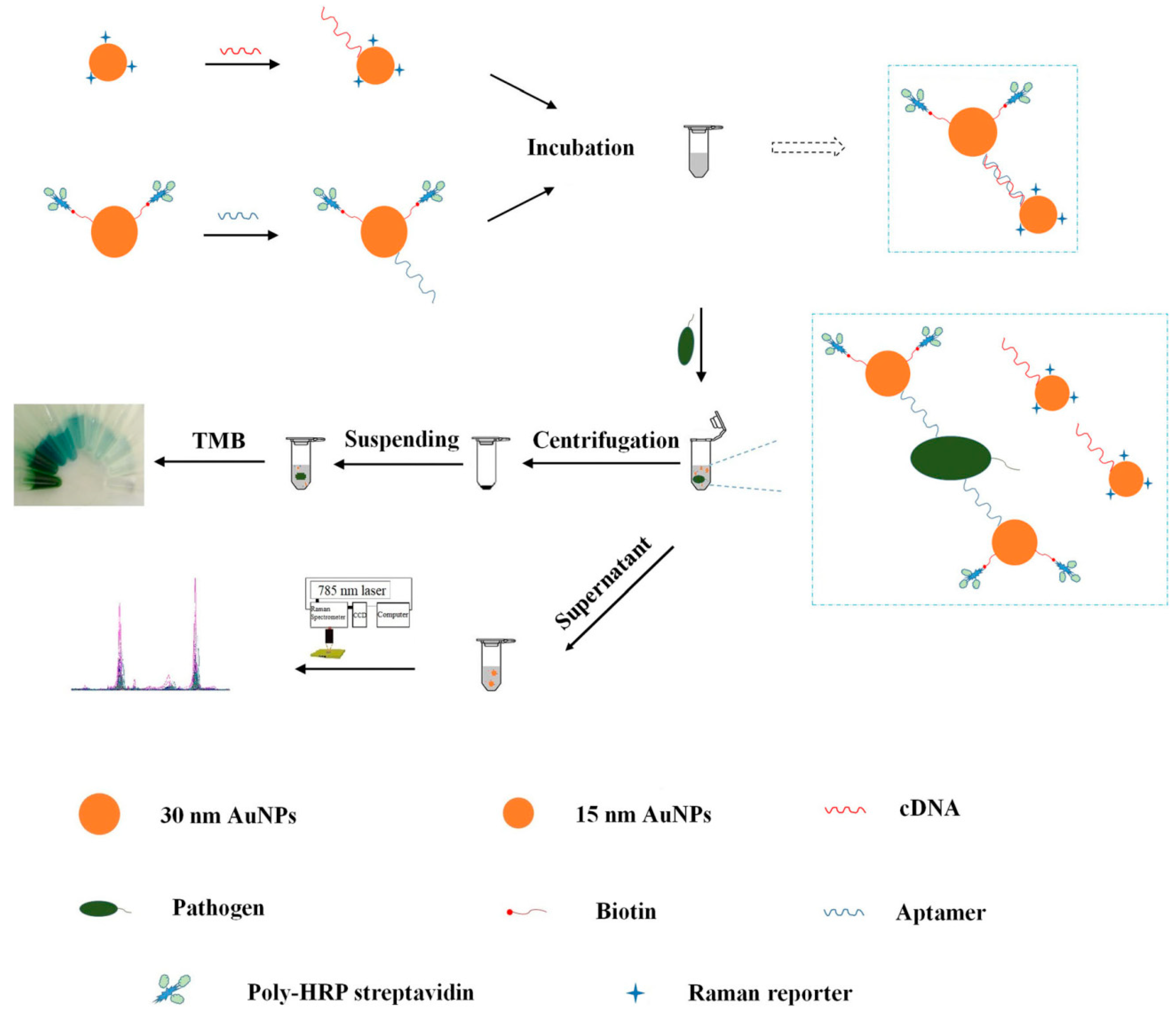 Sensors 19 03806 g006