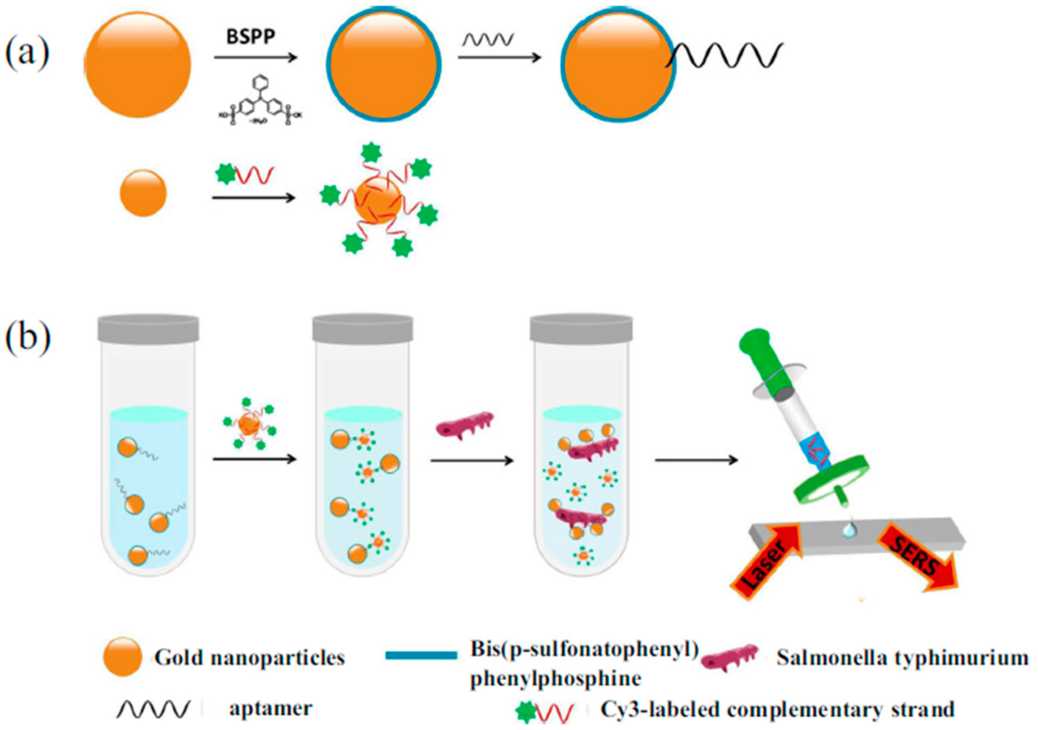 Sensors 19 03806 g007
