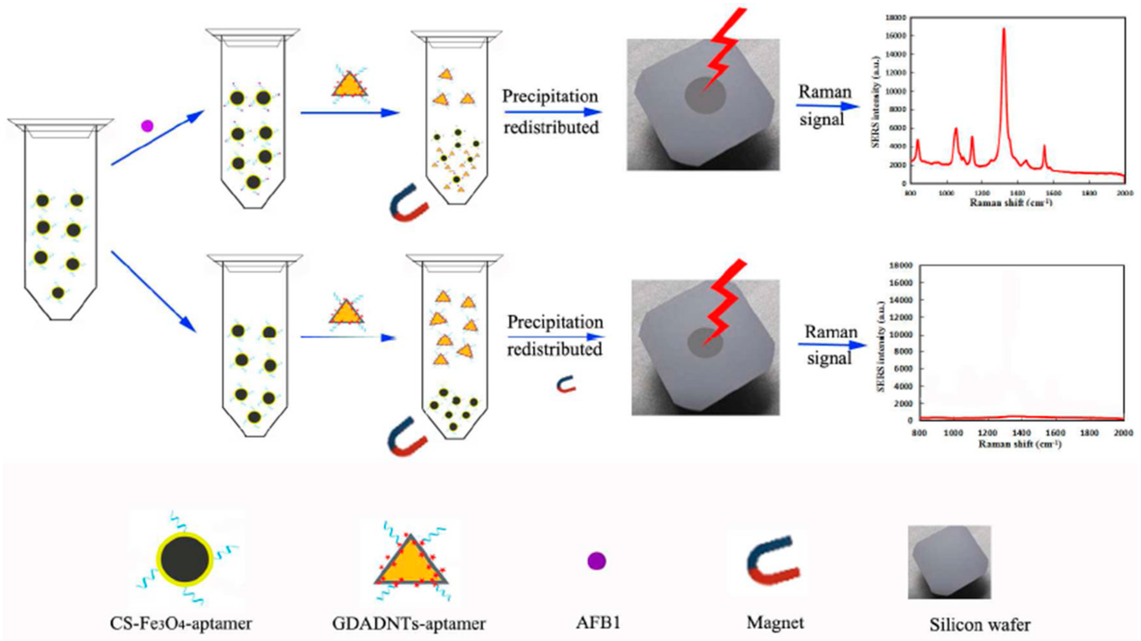 Sensors 19 03806 g008