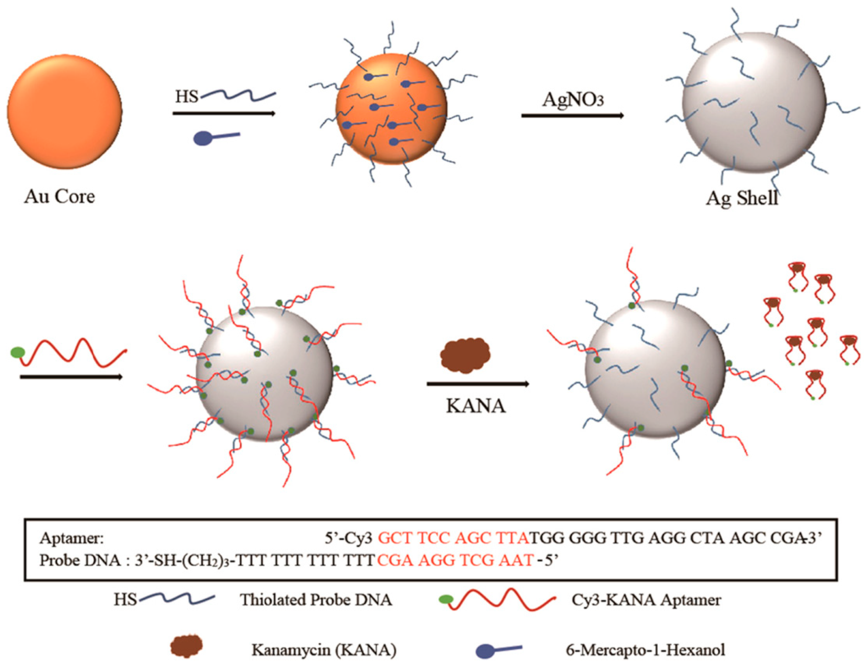 Sensors 19 03806 g012