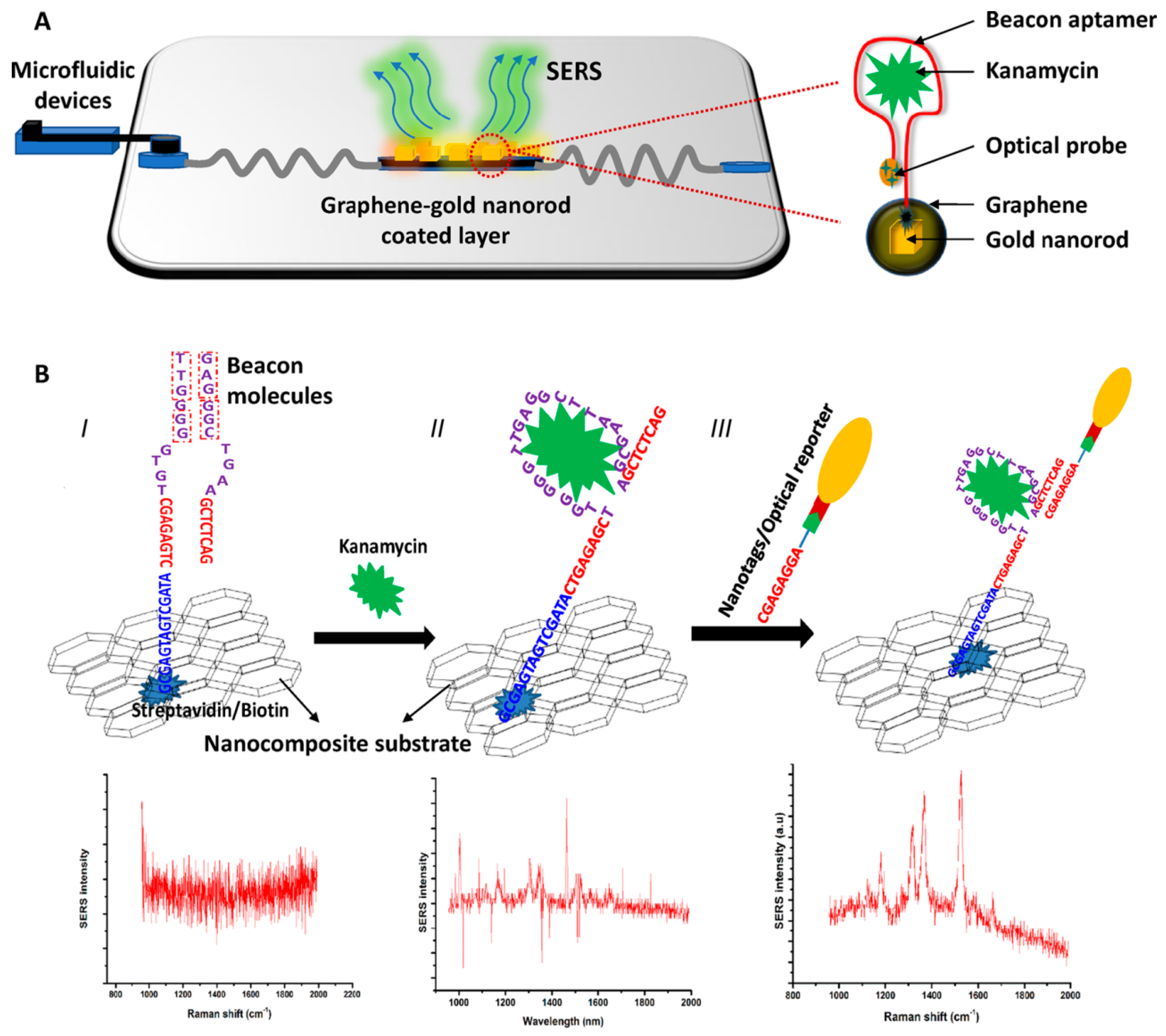Sensors 19 03806 g013