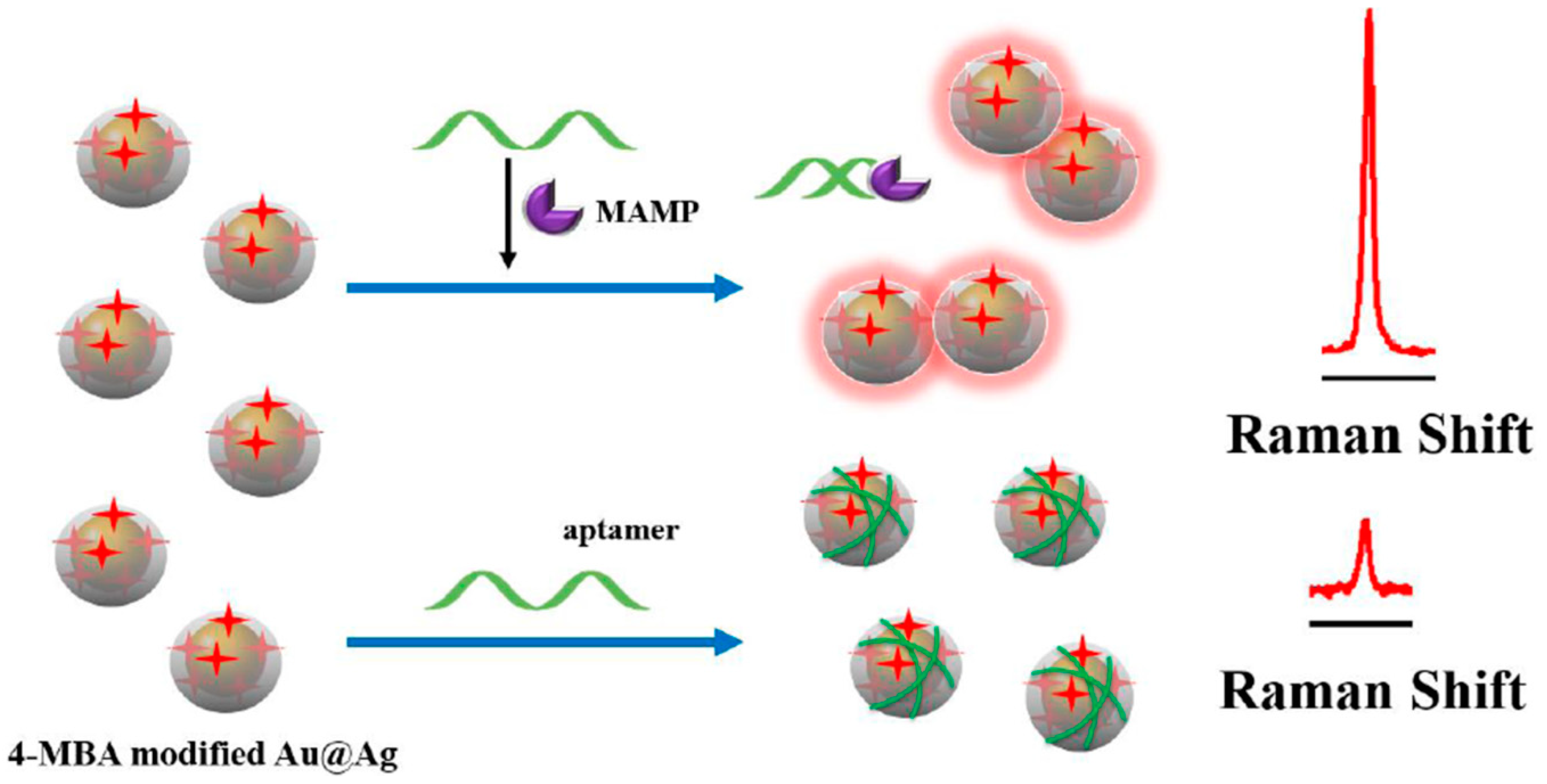 Sensors 19 03806 g014