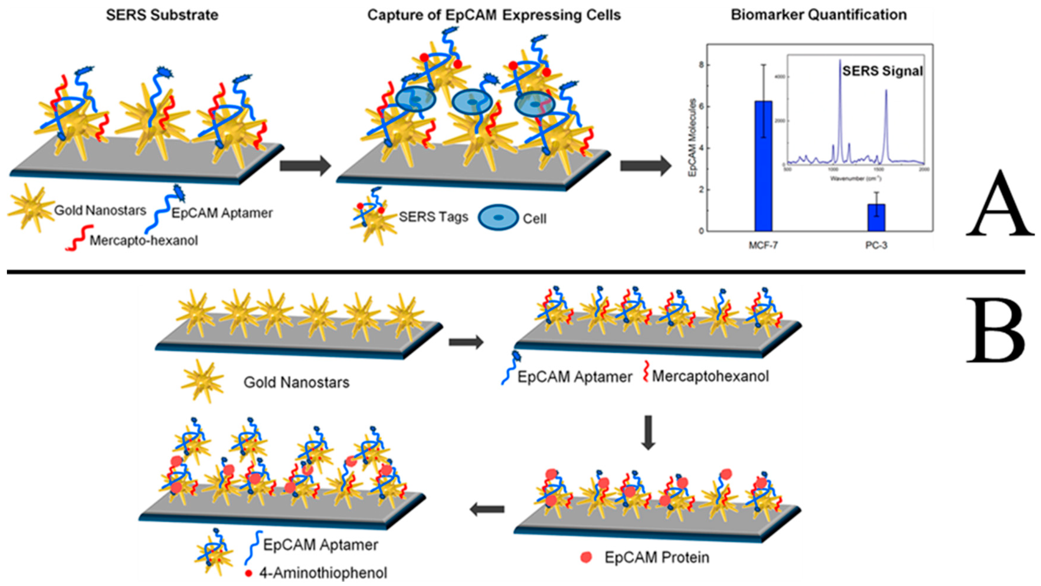 Sensors 19 03806 g017