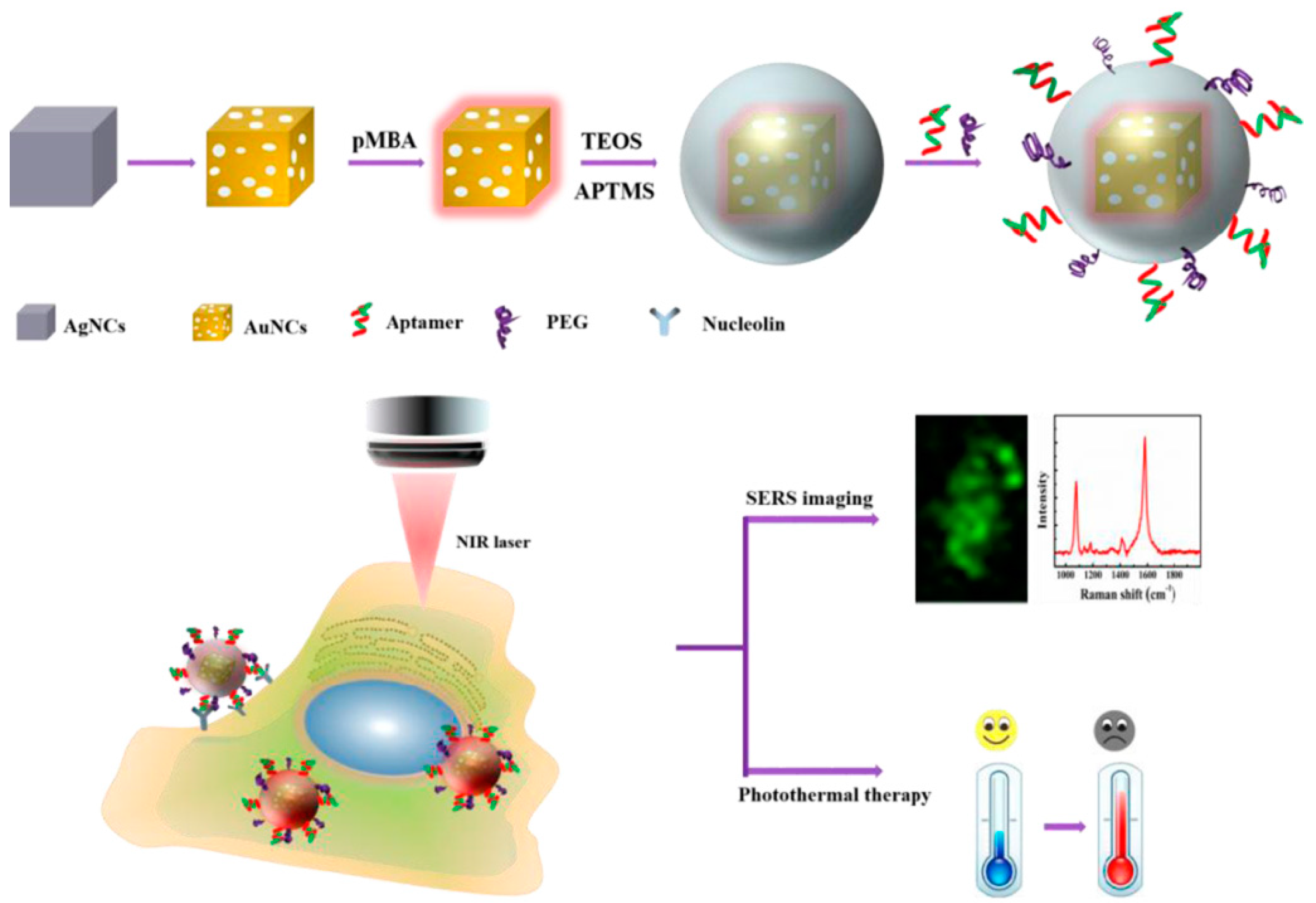 Sensors 19 03806 g019