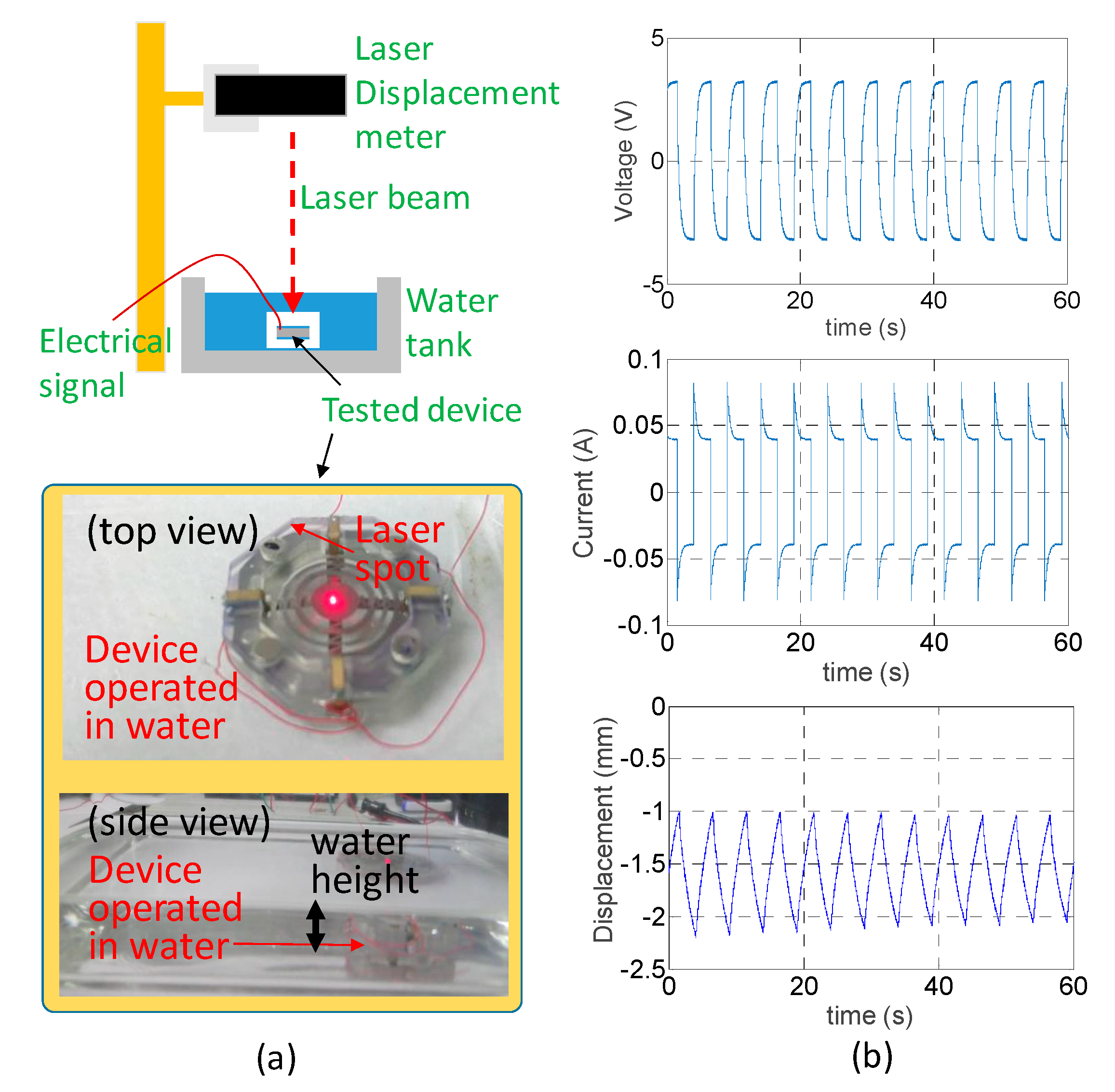 Sensors 19 03819 g010