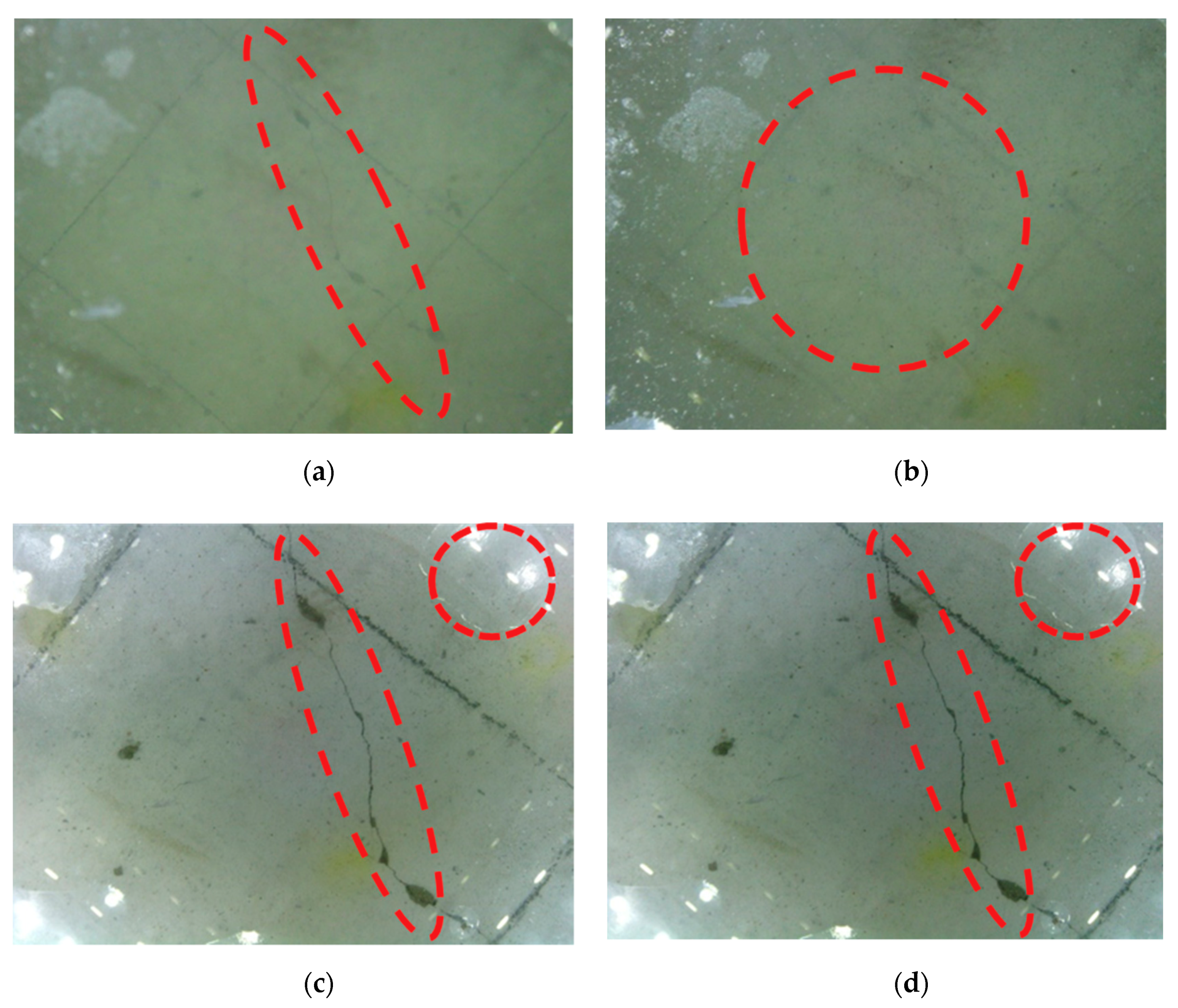 Sensors 19 03925 g010