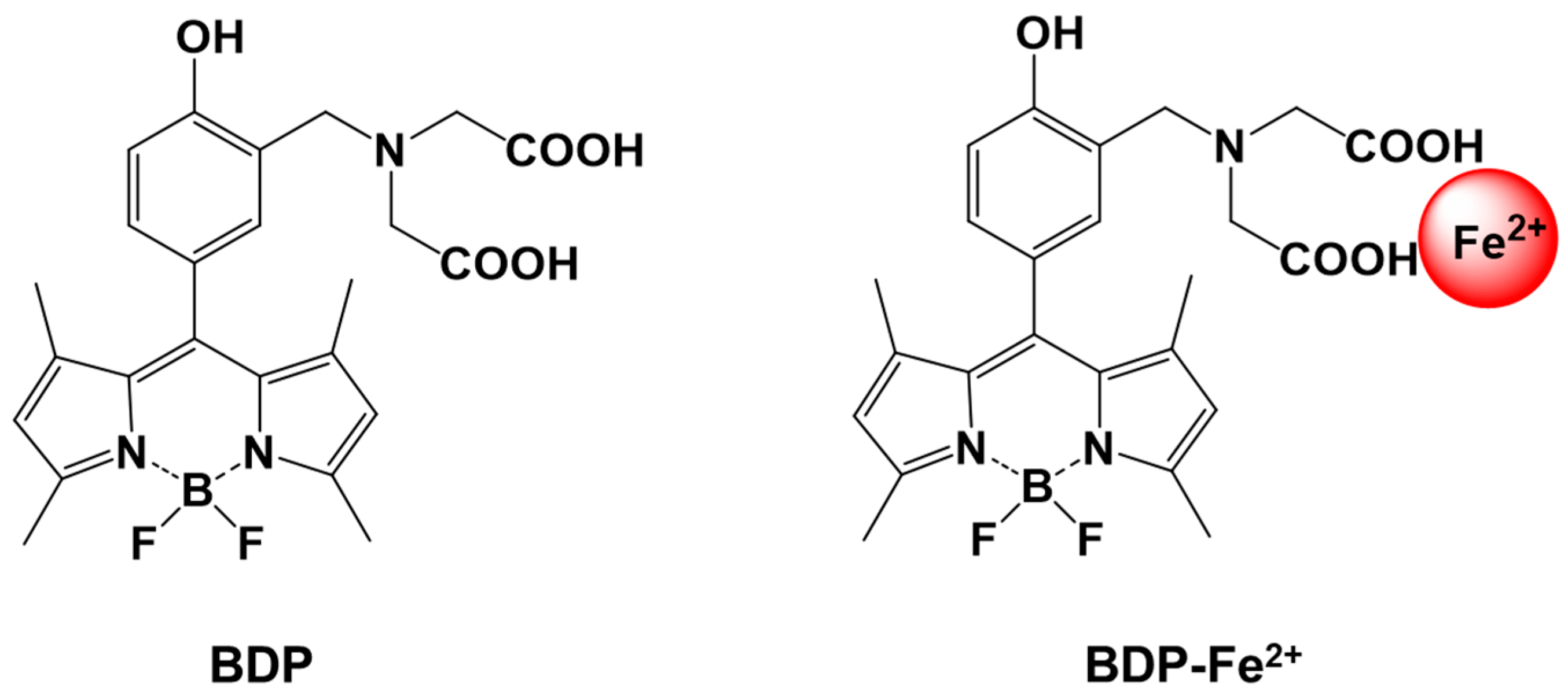 Sensors Free FullText Development of Fluorescent Reagent Based on