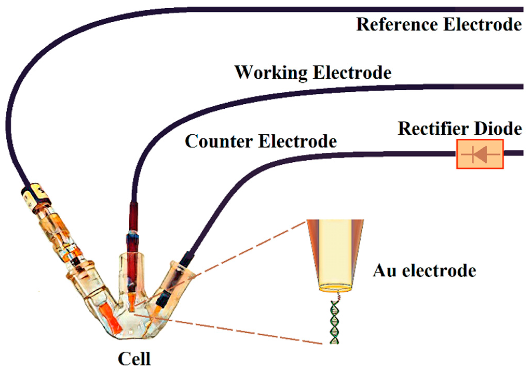 Sensors 19 03956 g001